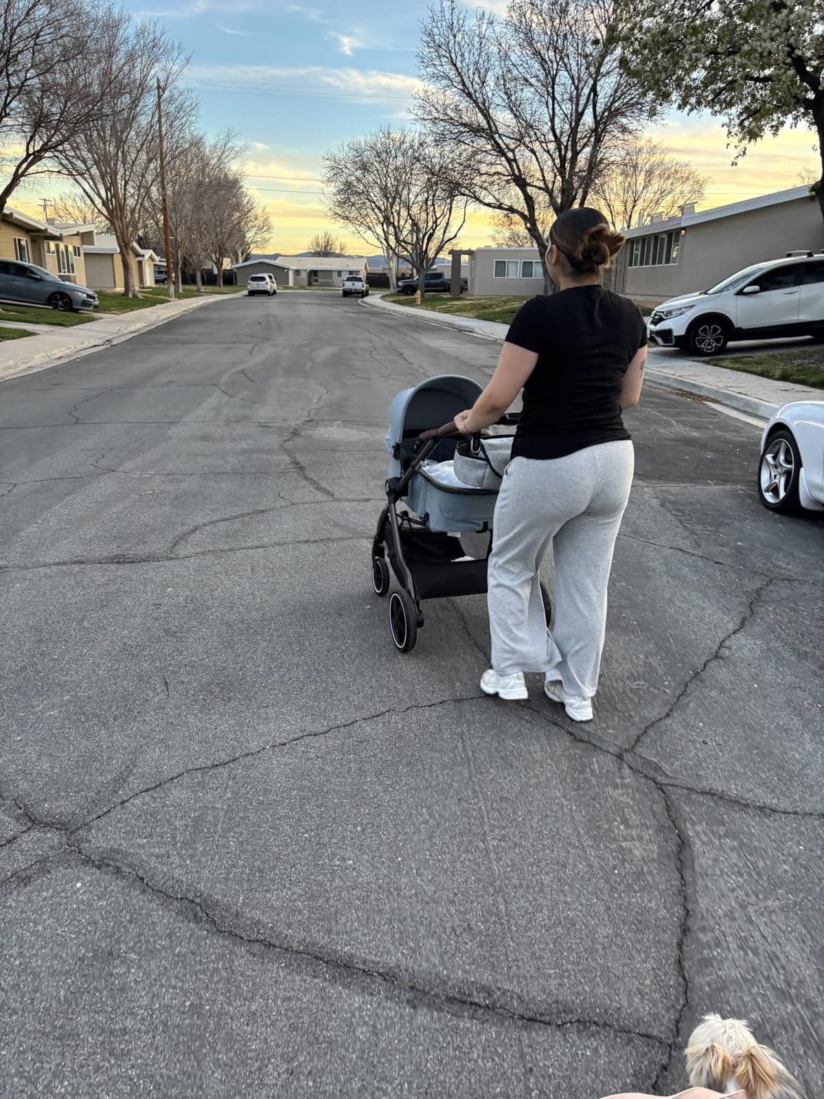 Maxi-Cosi Zelia 2 Luxe 5-in-1 Modular Travel System, New Hope Navy customer photo 1