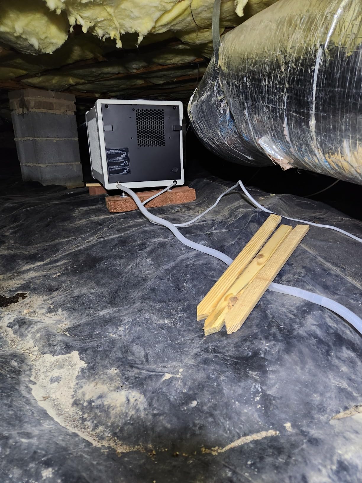 155 Pint Commercial Dehumidifier with Drain Hose for Crawl Spaces customer photo 2