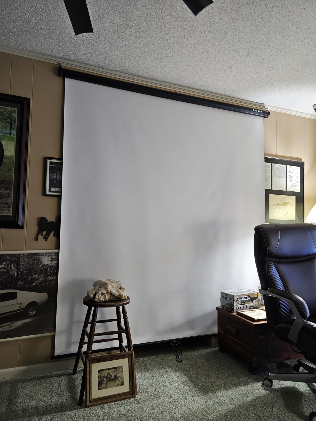 RAUBAY 78.7 x 86.6in Retractable Pull Down Green Screen Chroma Key Backdrop customer photo 1