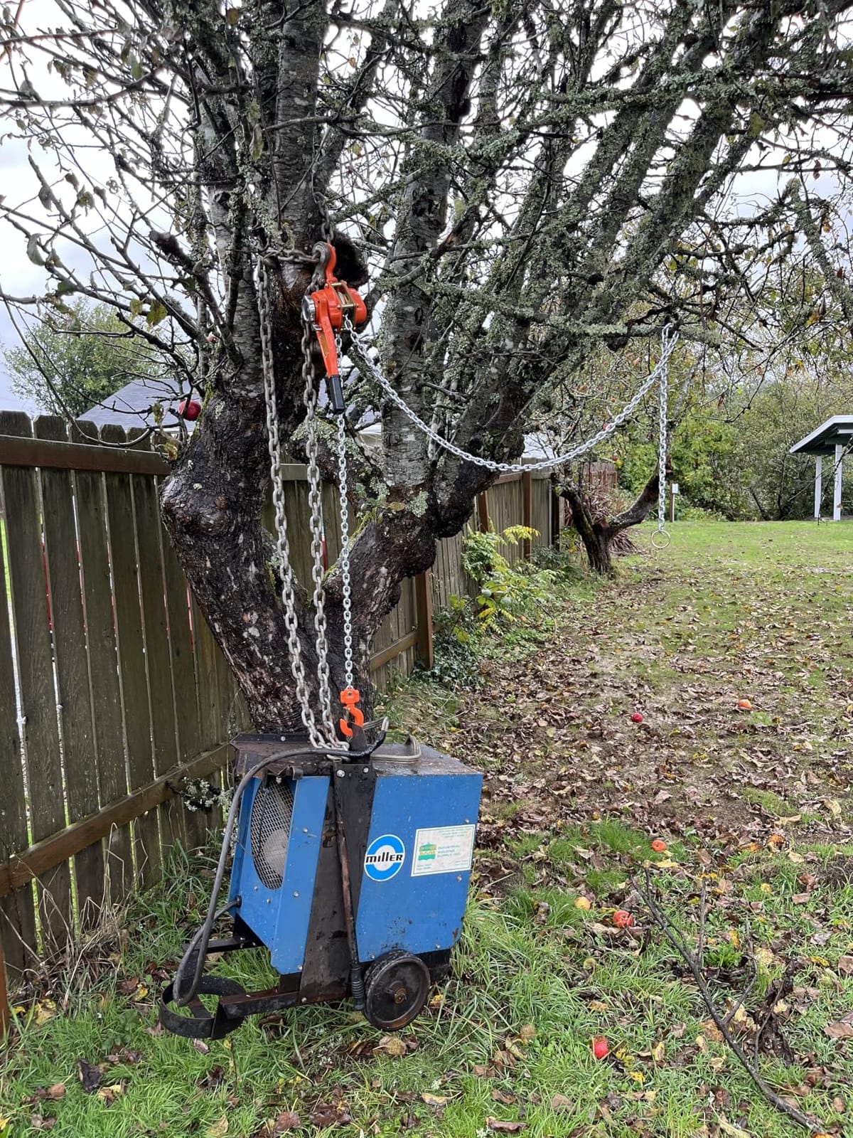 VEVOR Manual Lever Chain Hoist, 3/4 Ton 1650 lbs Capacity 10 FT Come Along, G80 Galvanized Carbon Steel with Weston Double-Pawl Brake customer photo 1