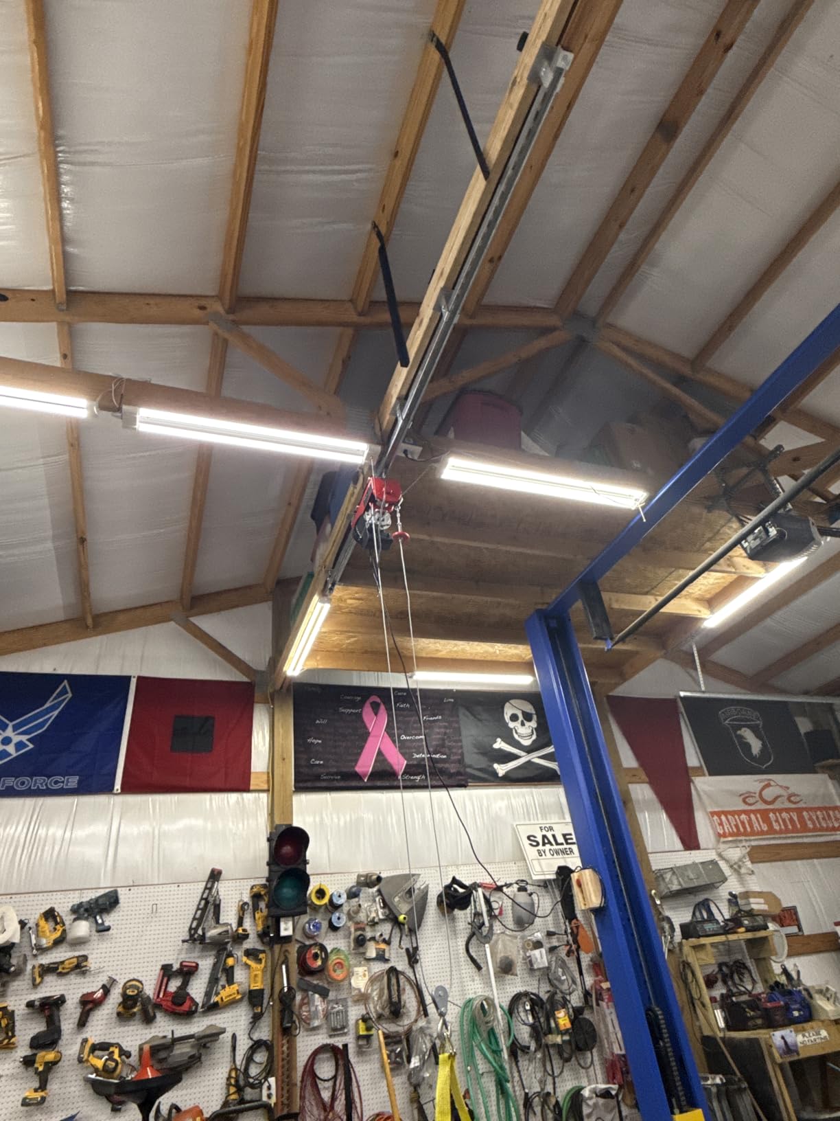 VEVOR Electric Hoist with Remote Control, 1320LBS Electric Winch, 110V Electric Hoist with 14ft Wired Control for Lifting in Factories, Warehouses, Construction Site, Attic customer photo 1