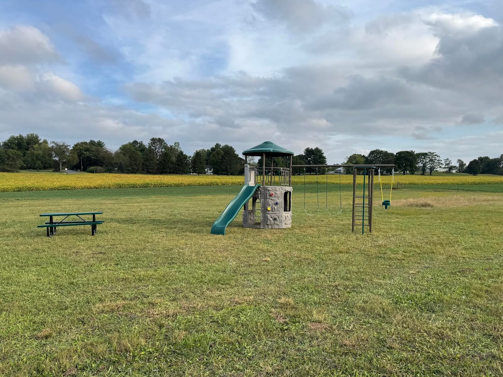 Lifetime Adventure Tower Deluxe Swing Set Playset Lifetime Adventure Tower, Covered Clubhouse, 9 ft Wavy Slide, Monkey Bars, Climbing Wall, Fireman’s Pole, Belt Swings & Trapeze customer photo 2