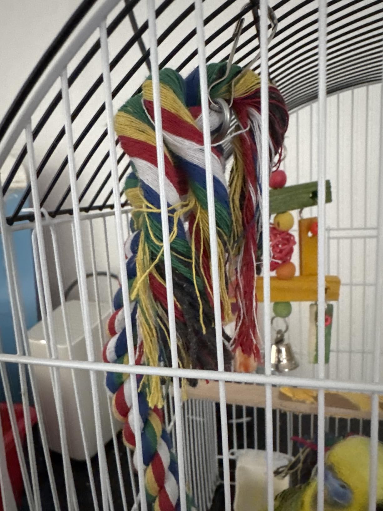 Bird Toys Rope Perch with Bell Colorful Bird Chewing Shredding Foraging Toys Parrot Swing Climbing Standing Hanging Toys Cage Accessories for Conure Cockatiel Budgies Lovebird customer photo 1