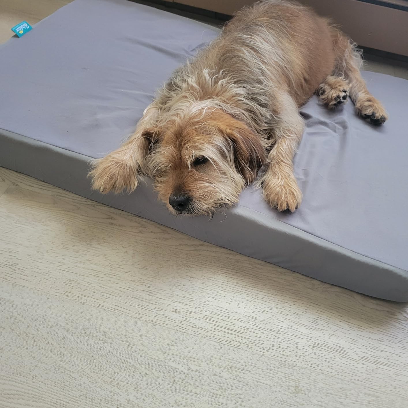 Mini Crib Mattress 38
