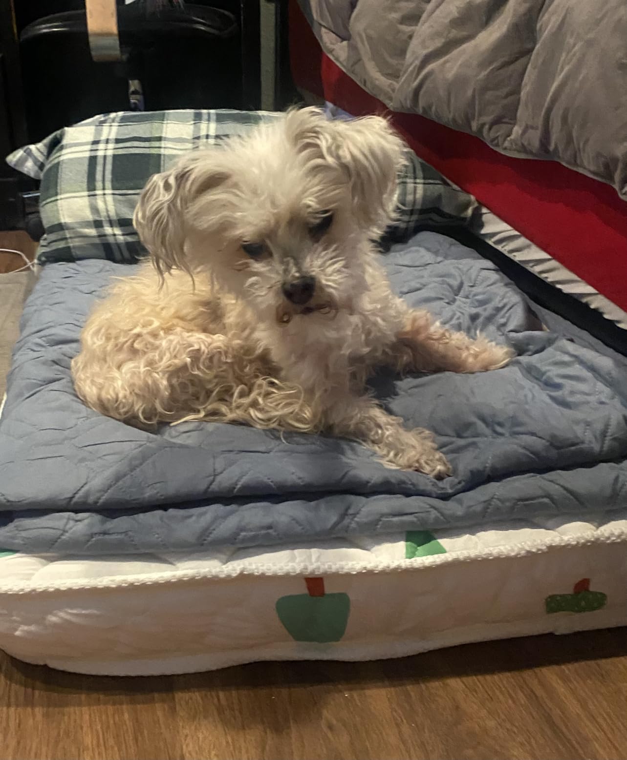 Mini Crib Mattress 38