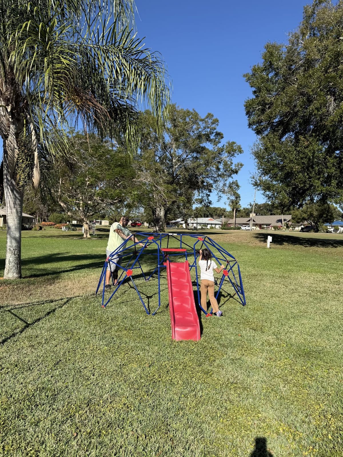 Olakids Climbing Dome with Slide, Kids Outdoor Jungle Gym Geometric Dome Climber, Steel Frame, 8FT Climb Structure Backyard Playground Center Equipment for Toddlers customer photo 1