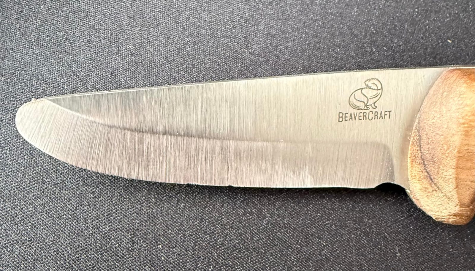 BeaverCraft Kids Boy Scout Knife - Whittling Knives for Kids - Safe Kid Knife with Rounded Tip & Sheath - First Bushcraft Knives for Boys 8-12 BSH Kid customer photo 2