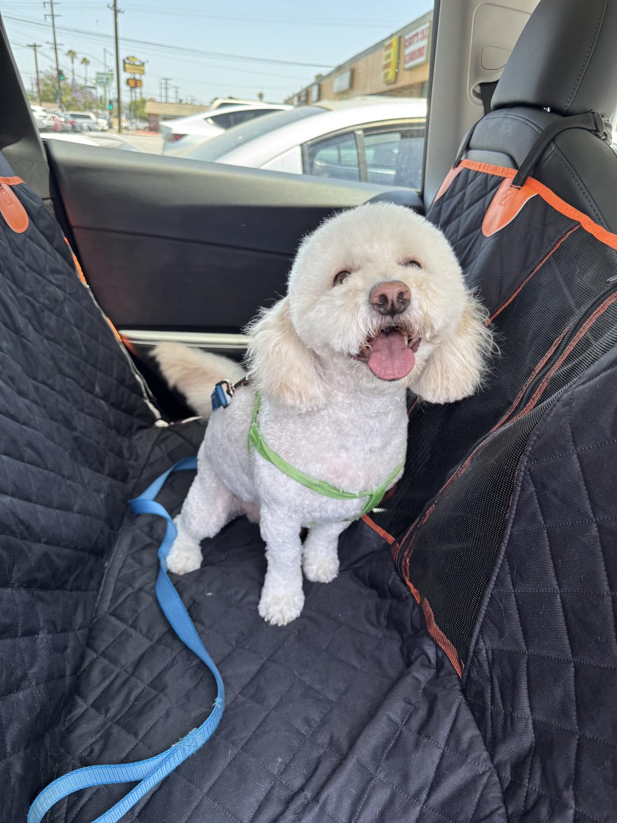 Dog Car Seat Cover, 600D Heavy Dute Car Seat Cover for Dogs Pets, 100% Waterproof Anti-Scratch Nonslip Dog Hammock for Cars, Seat Covers Protector with SeatBelt for Sedan SUV Truck Standard Black customer photo 2