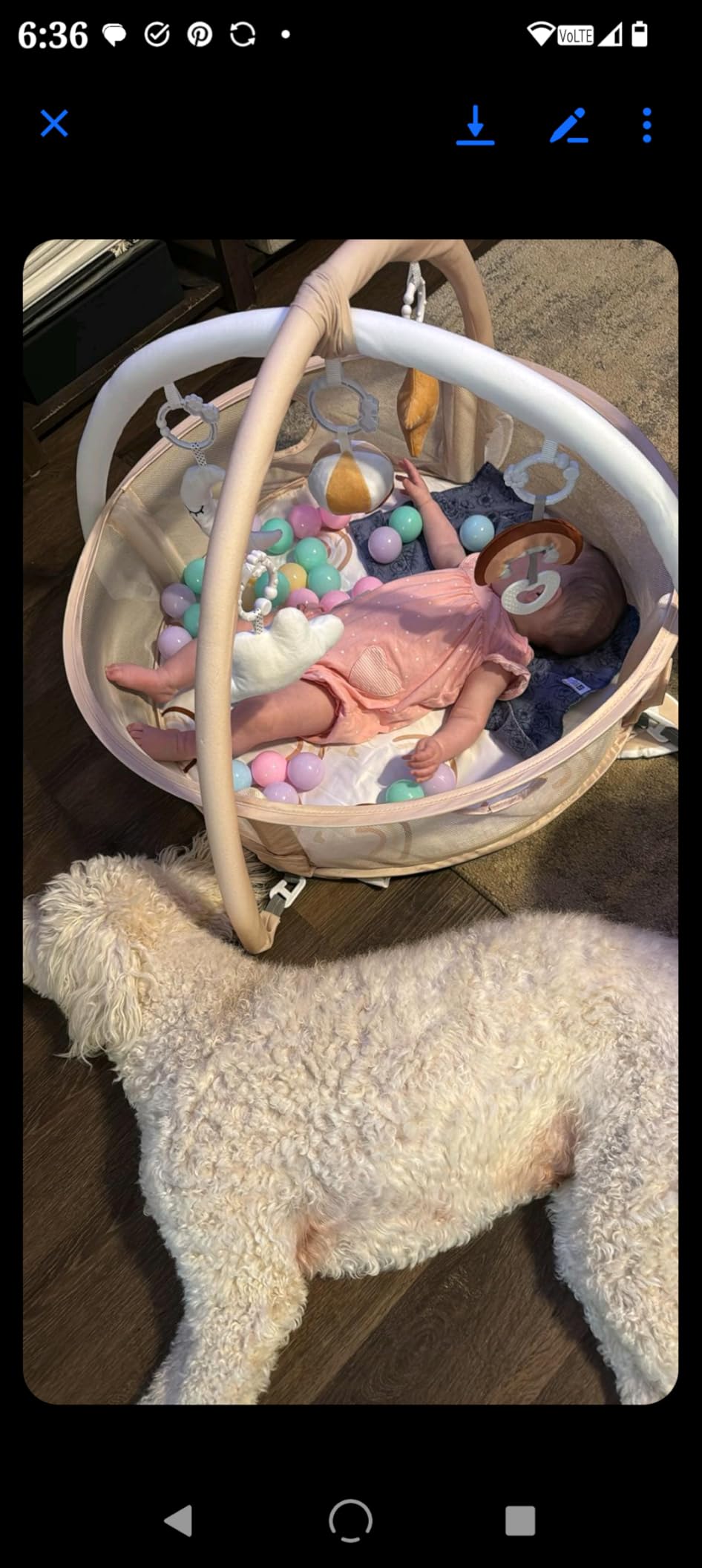 dearlomum Rainbow 4-in-1 Baby Play Mat Gym, with Ball Pit customer photo 1