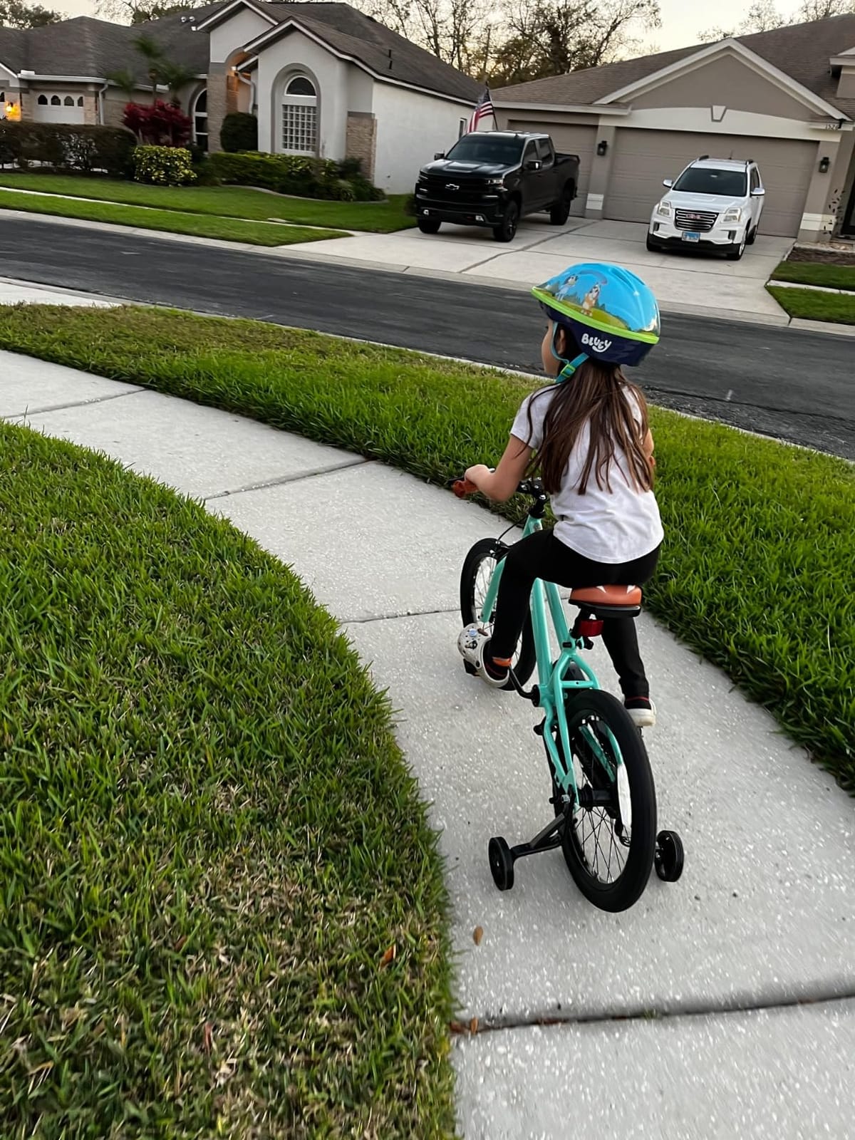 JOYSTAR Kids Bike for Ages 2-12 Years Boys Girls BMX Style Bicycle customer photo 2