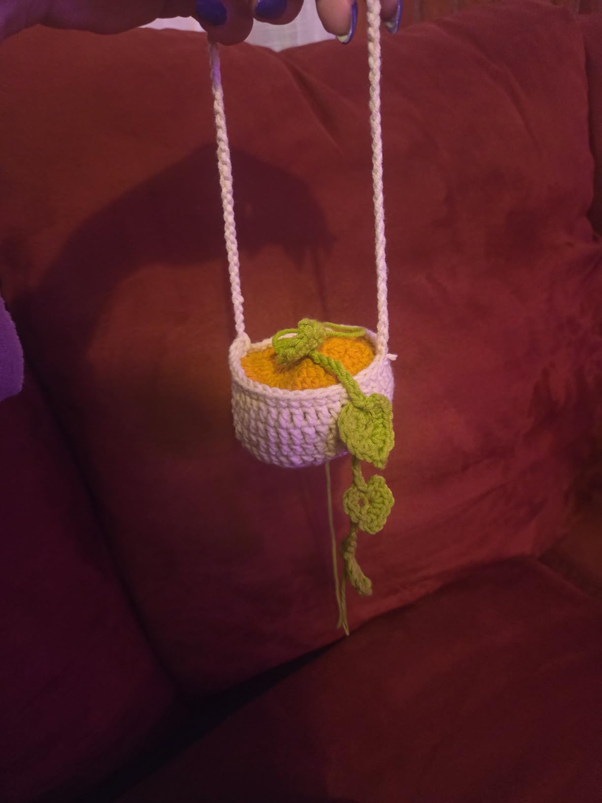 MAGIMUSE Crochet Kit for Beginners, Crochet Starter Kits, Amigurumi Craft Knitting Crocheting Kits with Step-by-Step Video Tutorials, 6 Pack Hanging Potted Plants Family(40%+ Yarn) customer photo 1