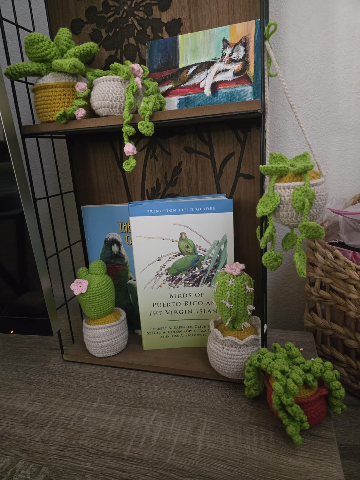 MAGIMUSE Crochet Kit for Beginners, Crochet Starter Kits, Amigurumi Craft Knitting Crocheting Kits with Step-by-Step Video Tutorials, 6 Pack Hanging Potted Plants Family(40%+ Yarn) customer photo 2