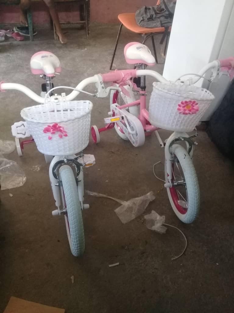 JOYSTAR Angel Girls Bike for Toddlers and Kids Ages 2-12 Years customer photo 1