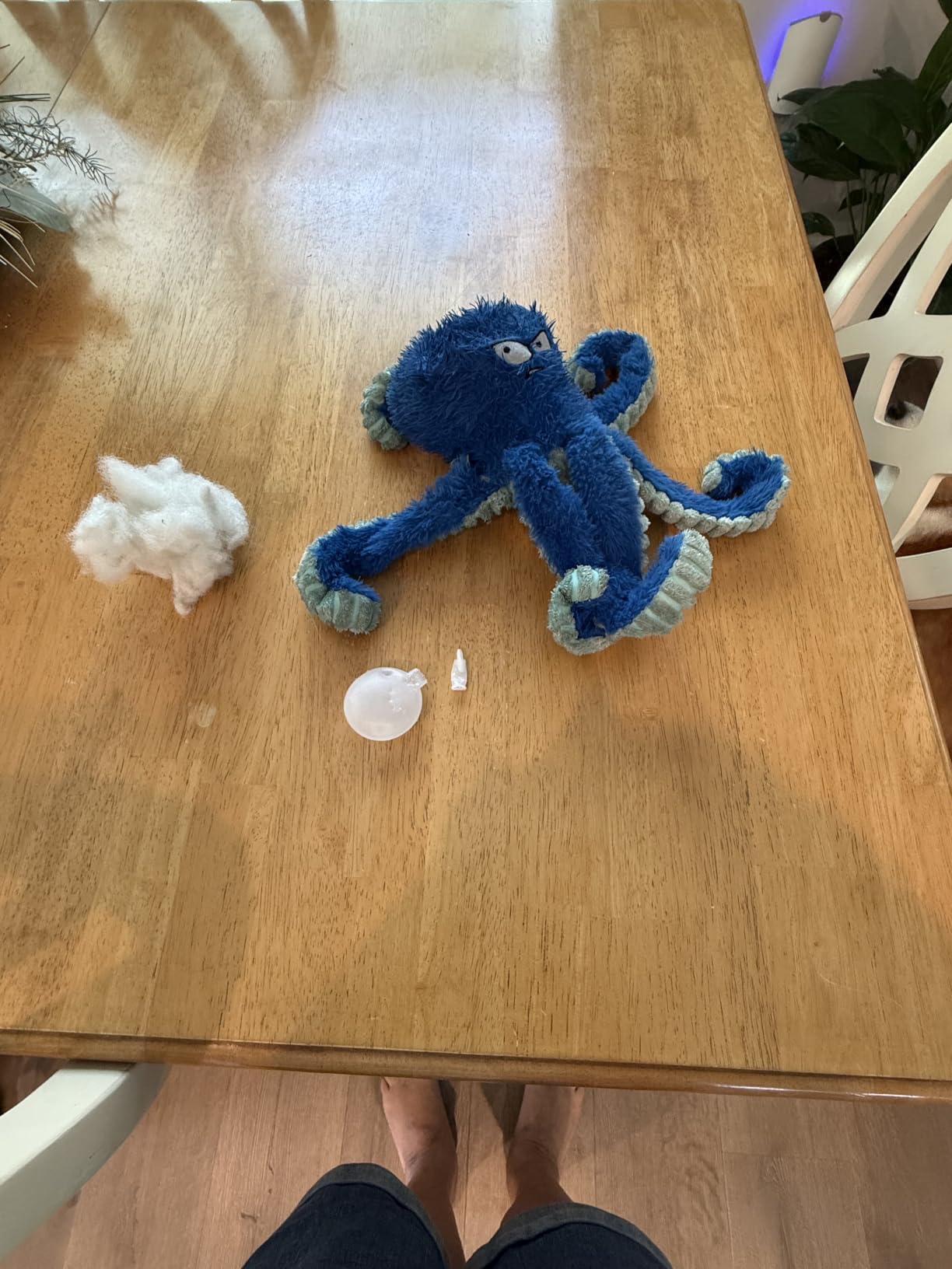 LEGEND SANDY Tough Dog Toys, Stuffed Chew Large Dog Toys to Keep Them Busy, Interactive Squeaky Tug of War Doggie Toy, Crinkle Blue Octopus customer photo 1