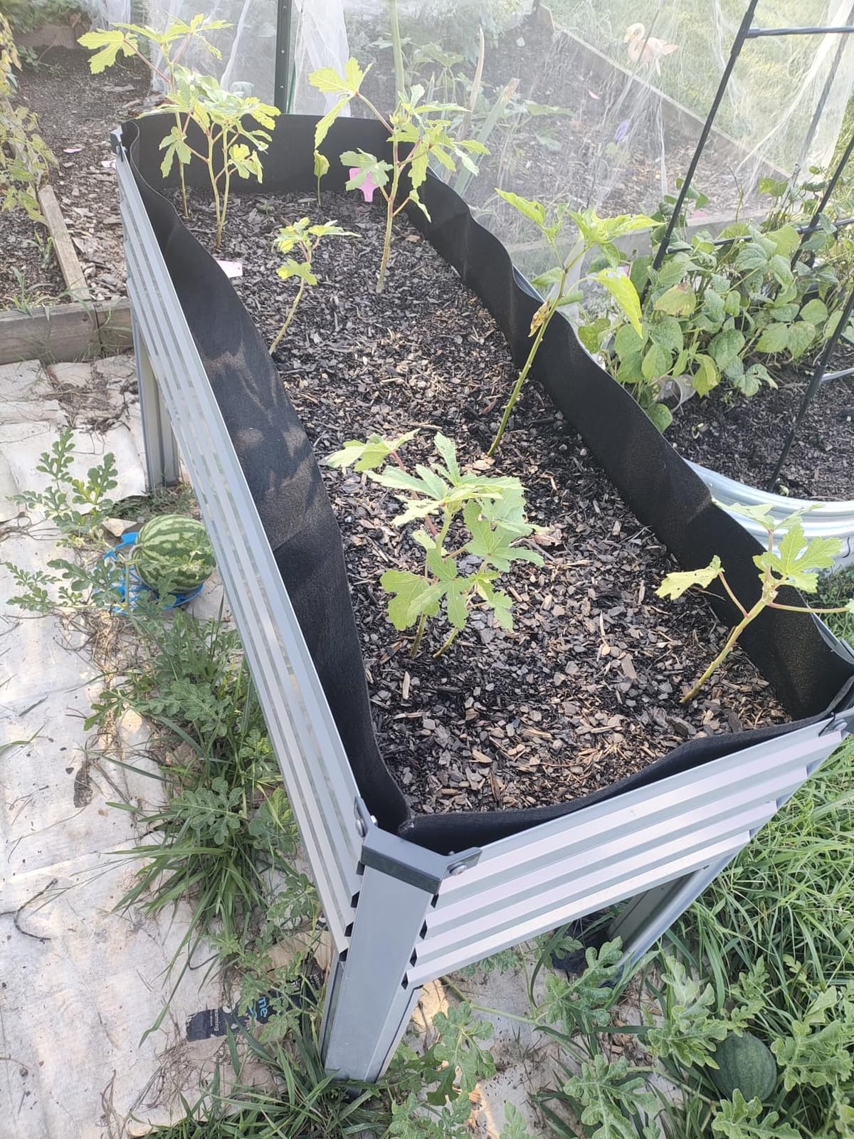 DIIYIV 2PCS Galvanized Raised Garden Bed with Legs,2PCS 48×18×30in Elevated Planter Box for Backyard,Outdoor Garden, Patio, Balcony, 300lb Capacity,Grey customer photo 1