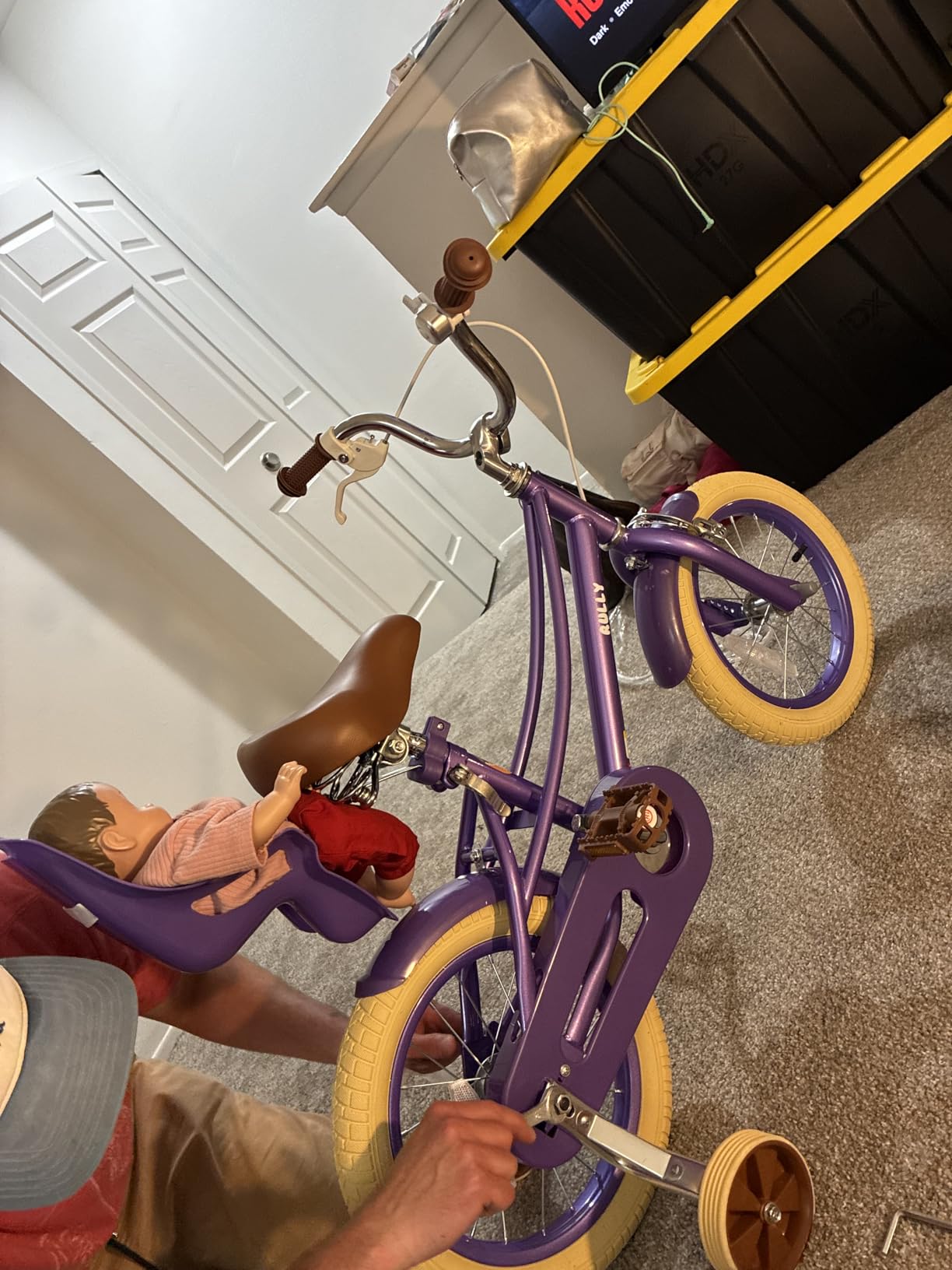 Glaf 12-20 Inch Girls Bike for Age 2-12 Toddler Kids Bike customer photo 1