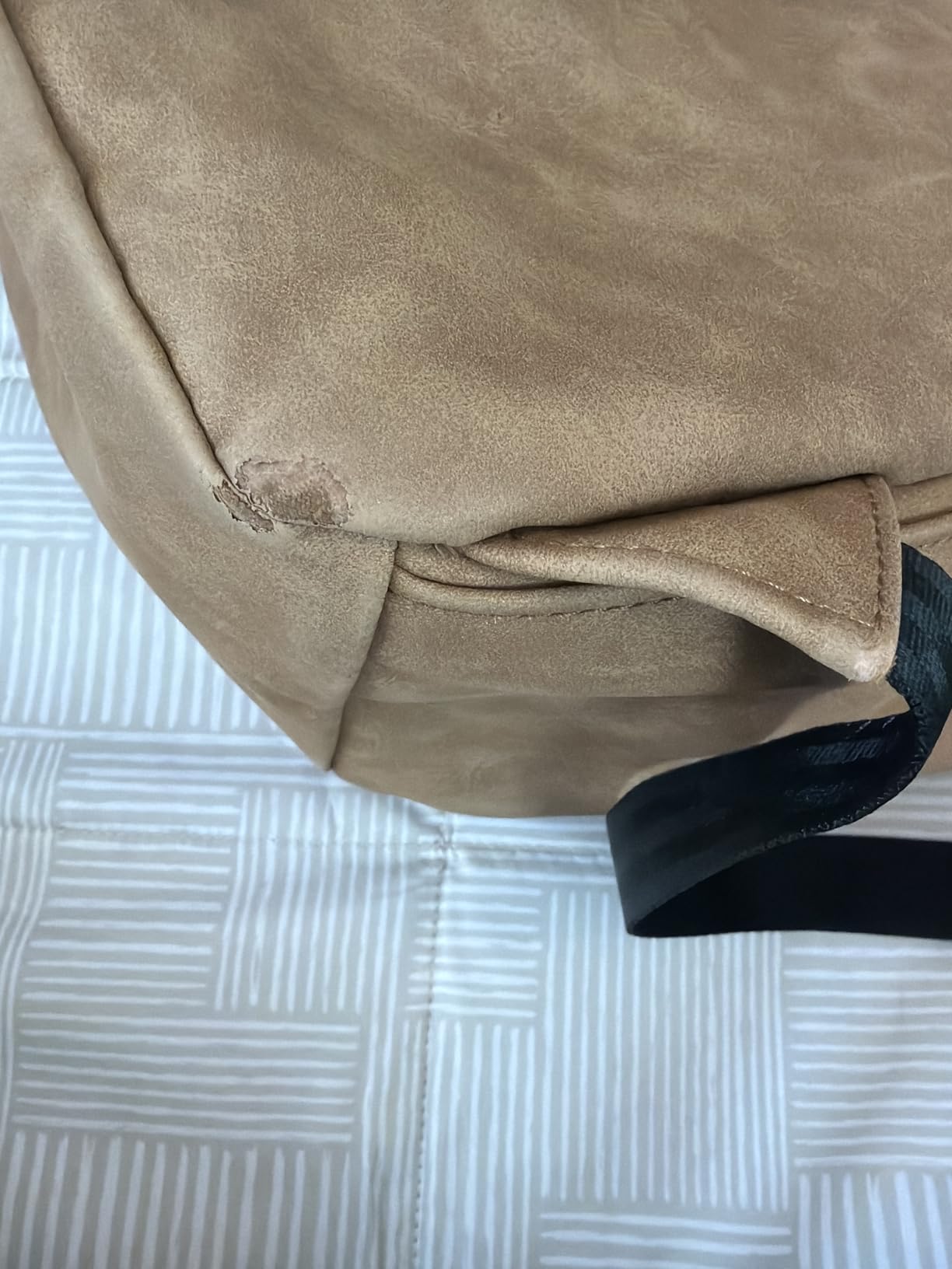 Petunia Pickle Bottom Tempo Backpack, Designed for Busy Families, Attaches to Stroller or Suitcase, Spacious Main Compartment customer photo 2
