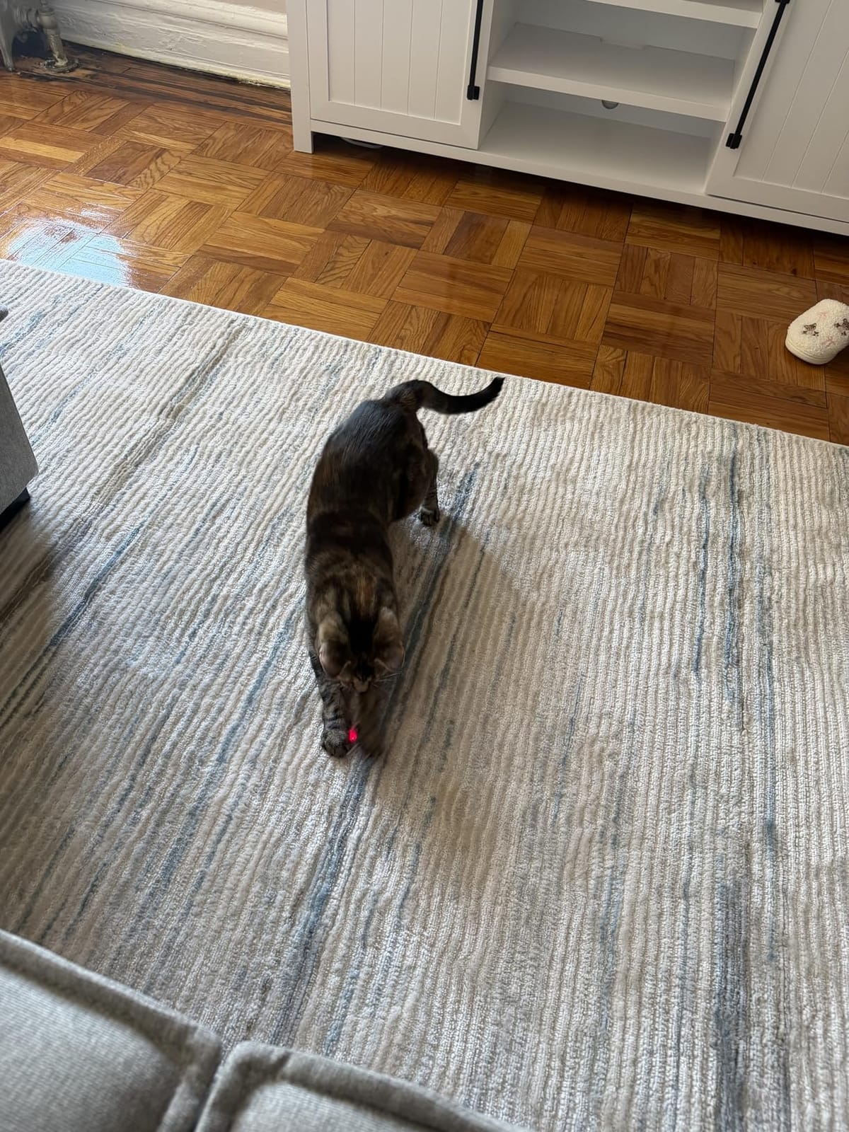 TBTeek Cat Toys, Rechargeable, 3 Light Modes & 5 Fun Patterns customer photo 1