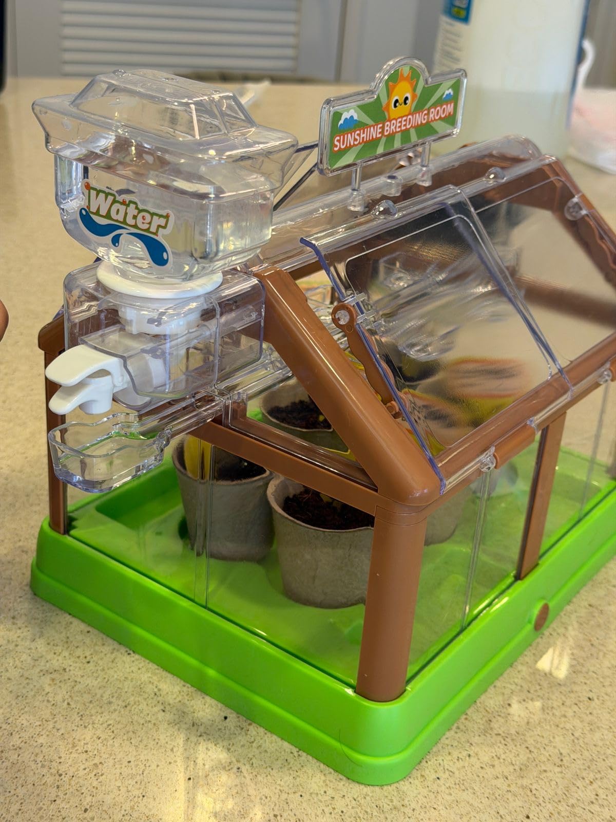 Kids Plant Growing Kit - Kids Greenhouse & Flower Growing Kit with Upgraded Irrigation & Grow Light – Perfect Gardening for Kids（Solar Green） customer photo 1