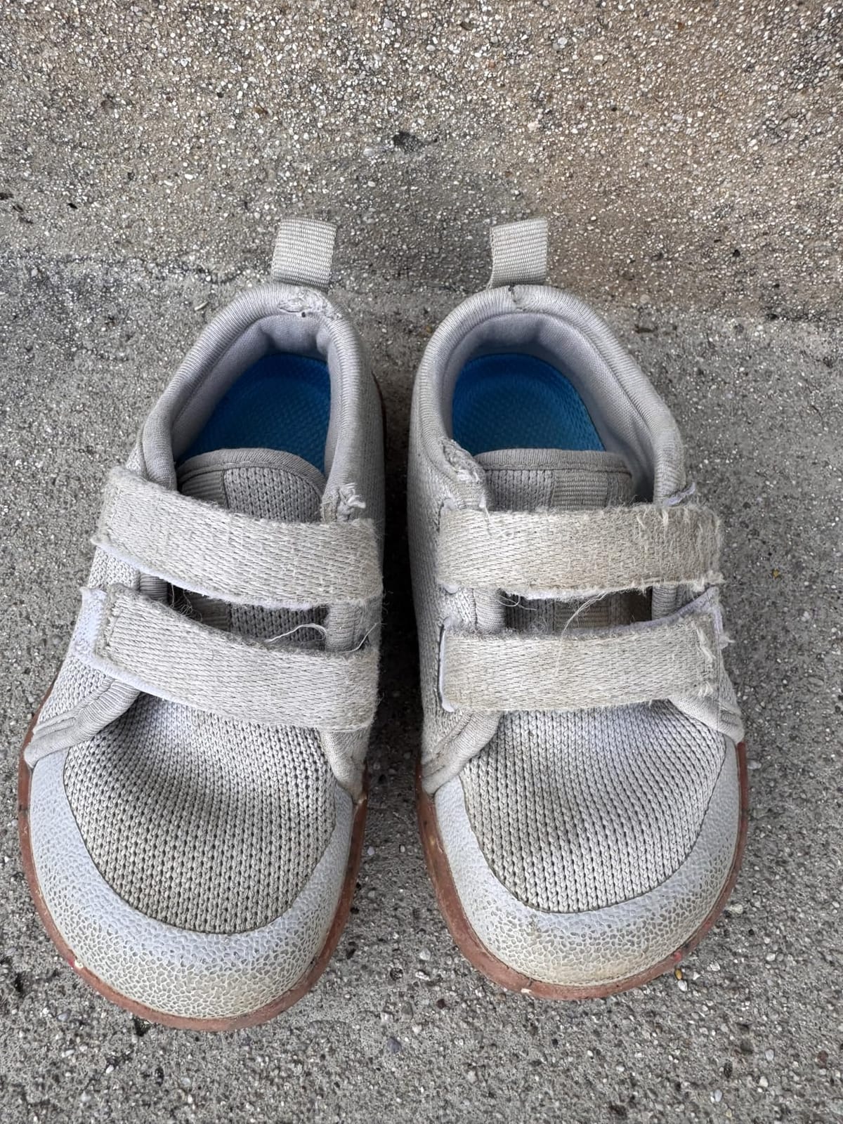 WHITIN Toddler/Kid Wide School Barefoot Shoes | Boys/Girls Naturally W81K customer photo 2