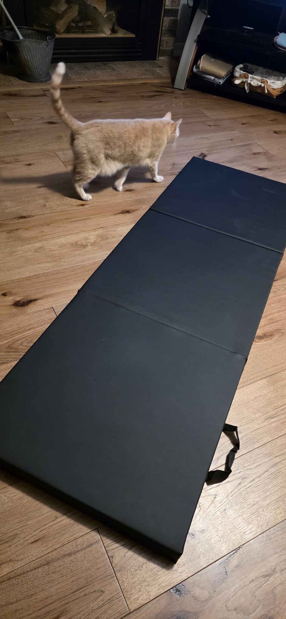 CAP Barbell Folding Exercise Mat - Durable, Anti-Tear, Thick Padding for Fitness, Aerobics, Gymnastics & Home Workouts. 72