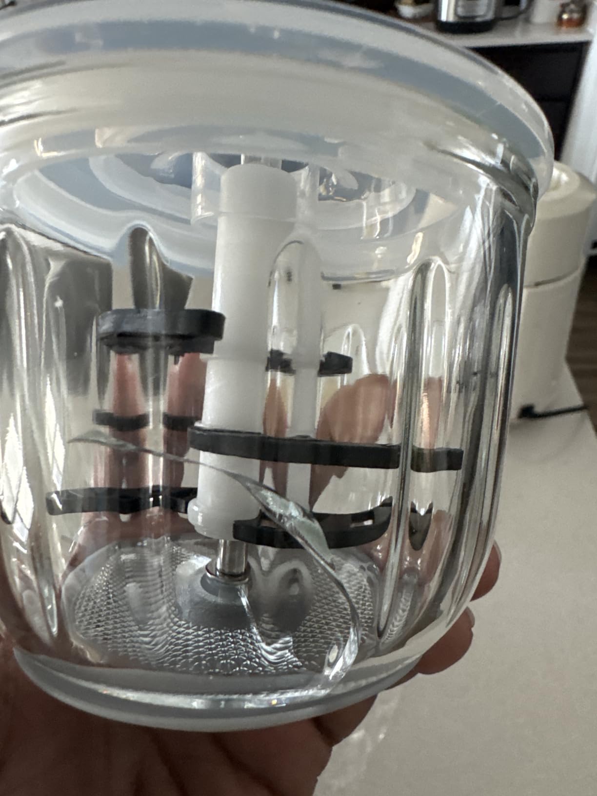Baby Food Maker - Processor & Blender for Fresh Meals, Fruits, Veggies, Meat & Puree (White) customer photo 1