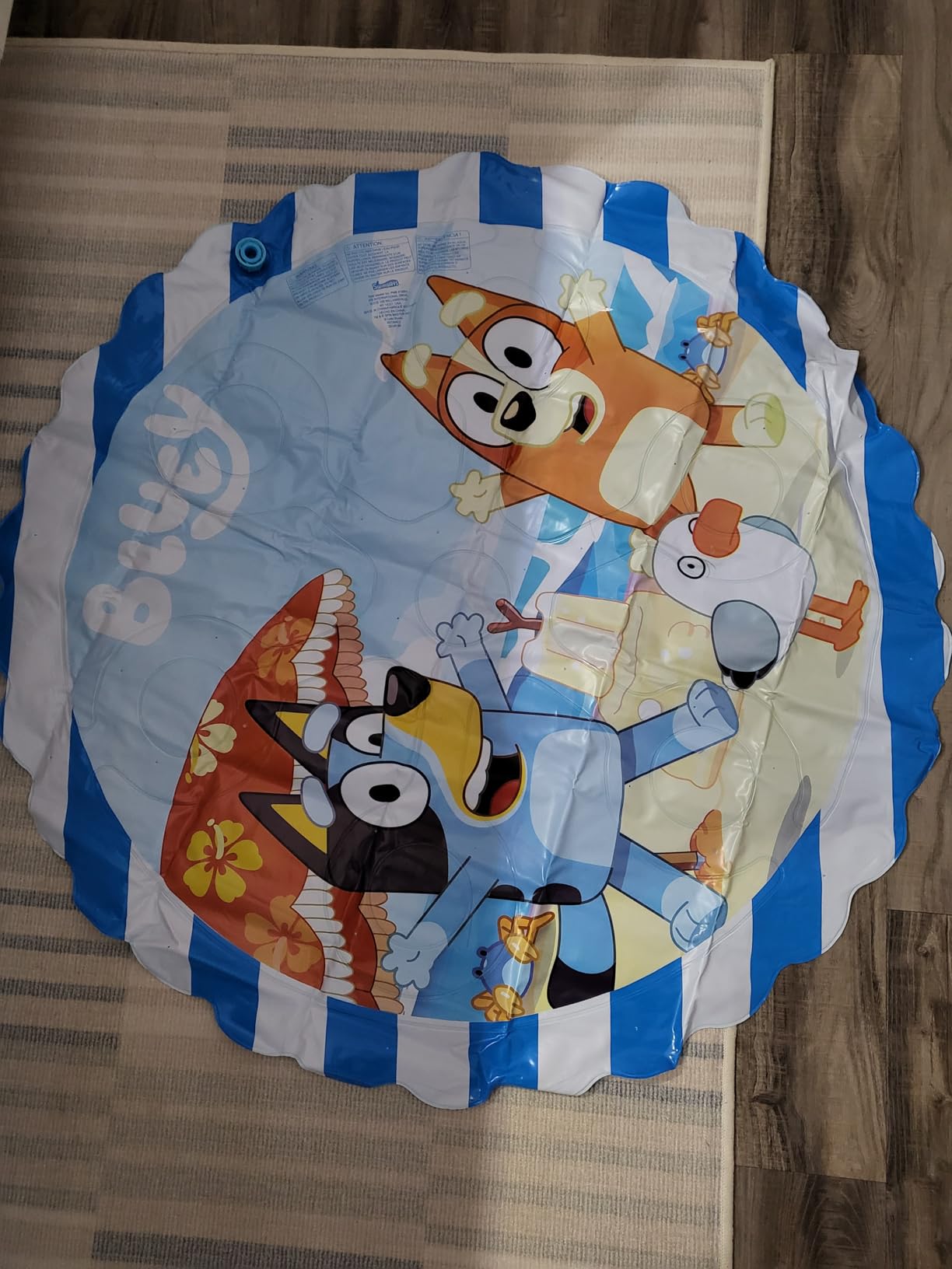 SwimWays Bluey Splash Mat for Ages 1+ customer photo 1