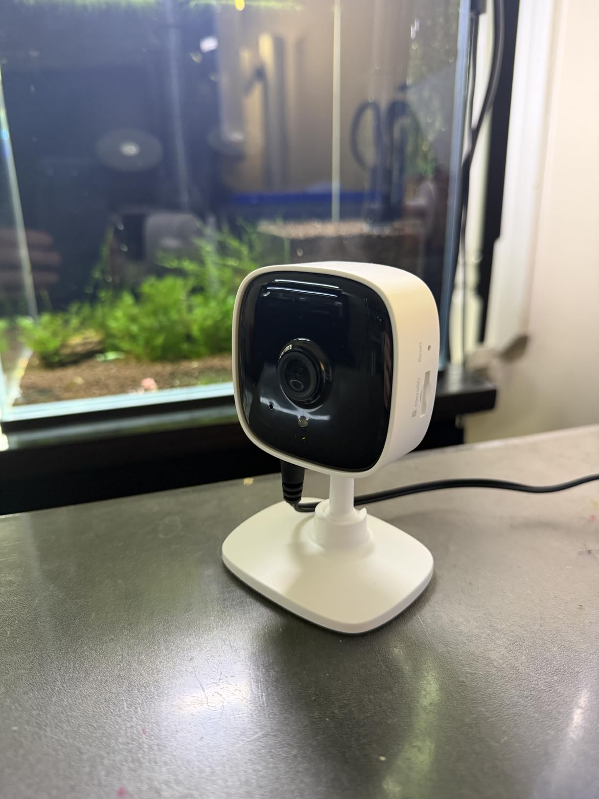 Tapo 1080P Indoor Security Camera, Baby Monitor, Dog Camera, C101 customer photo 1