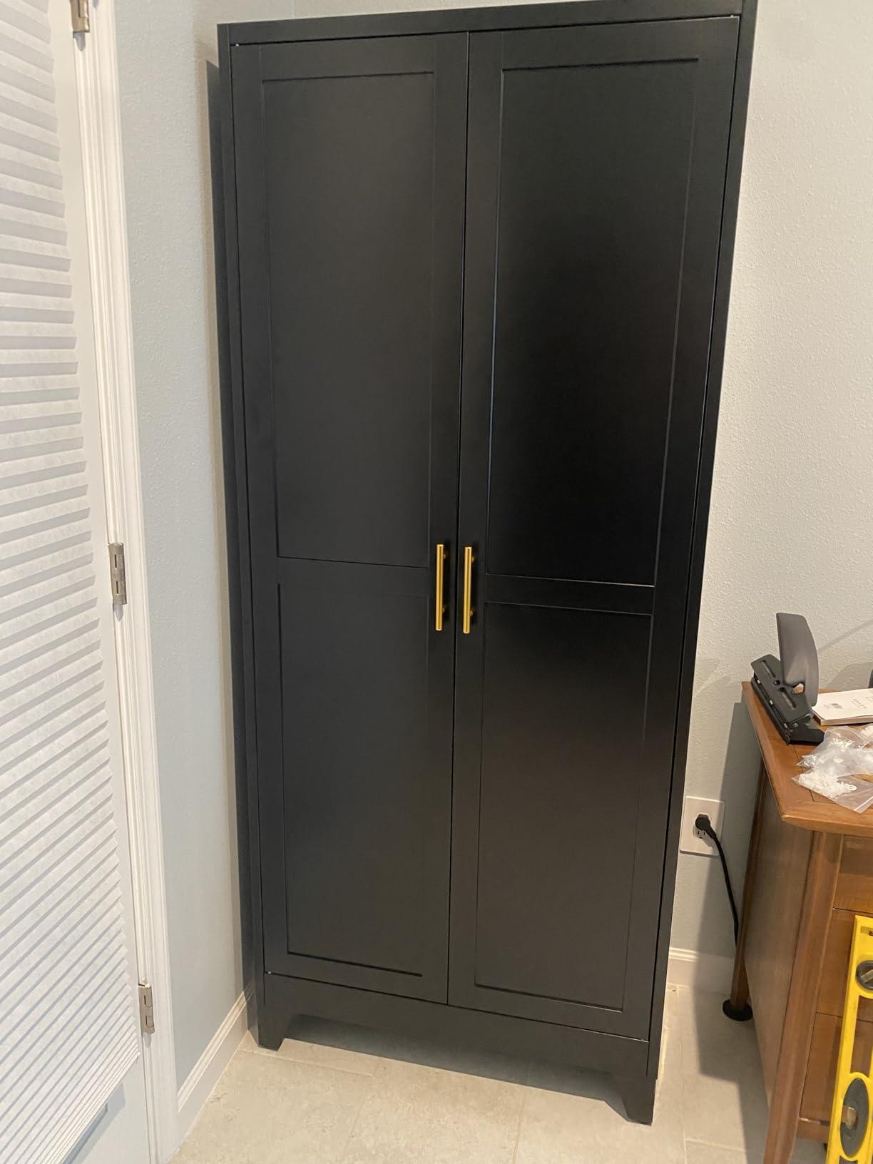 GAIOUS Metal Storage Cabinet, Black Pantry Storage Cabinets with 2 Door | and 3 Adjustable Shelves, Kitchen Food Storage Cabinet, Metal Utility Cabinet for Kitchen Laundry Room, Cupboard customer photo 2