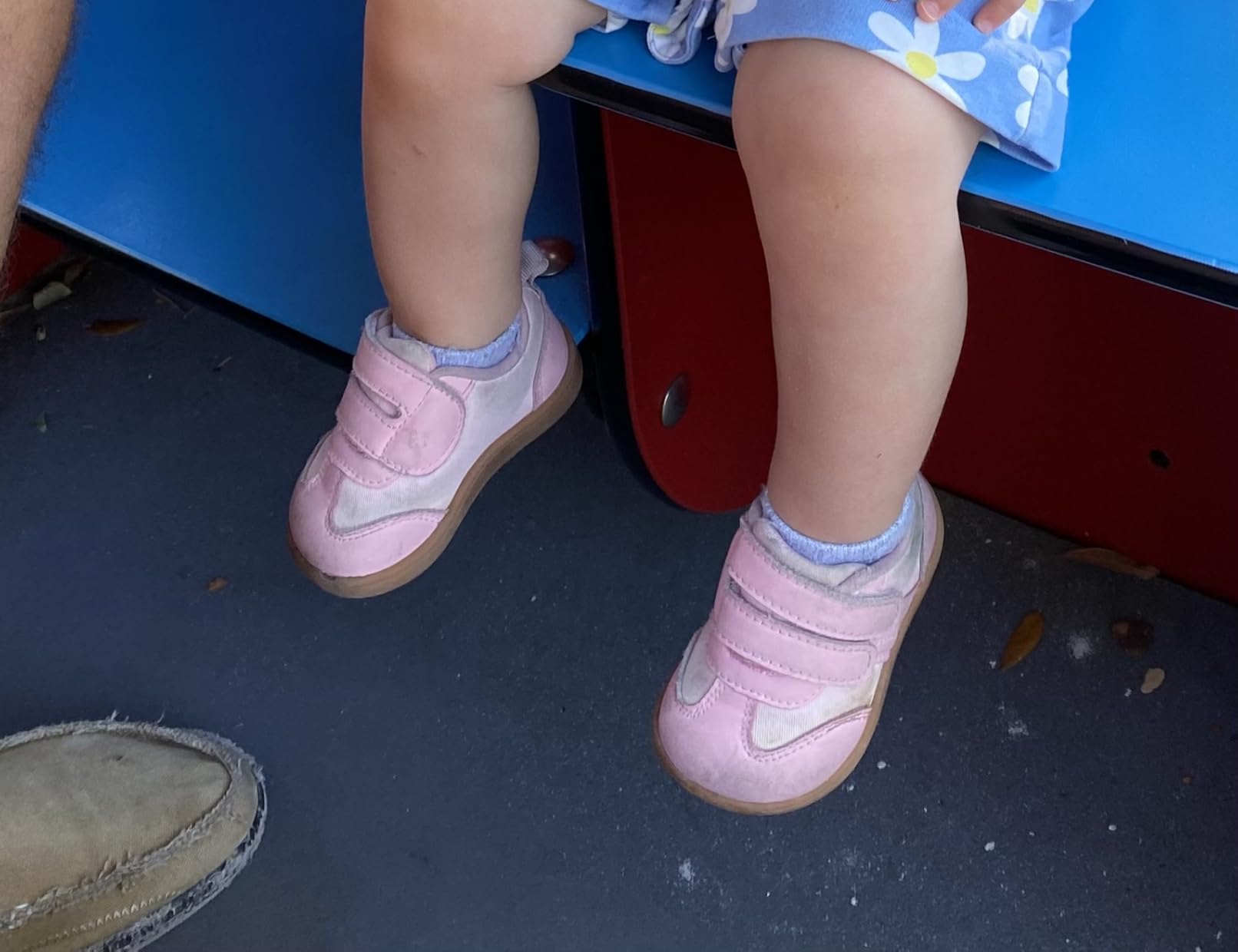 STQ KIDS Toddler Wide Toe Box Shoes First Walk Sneakers customer photo 1