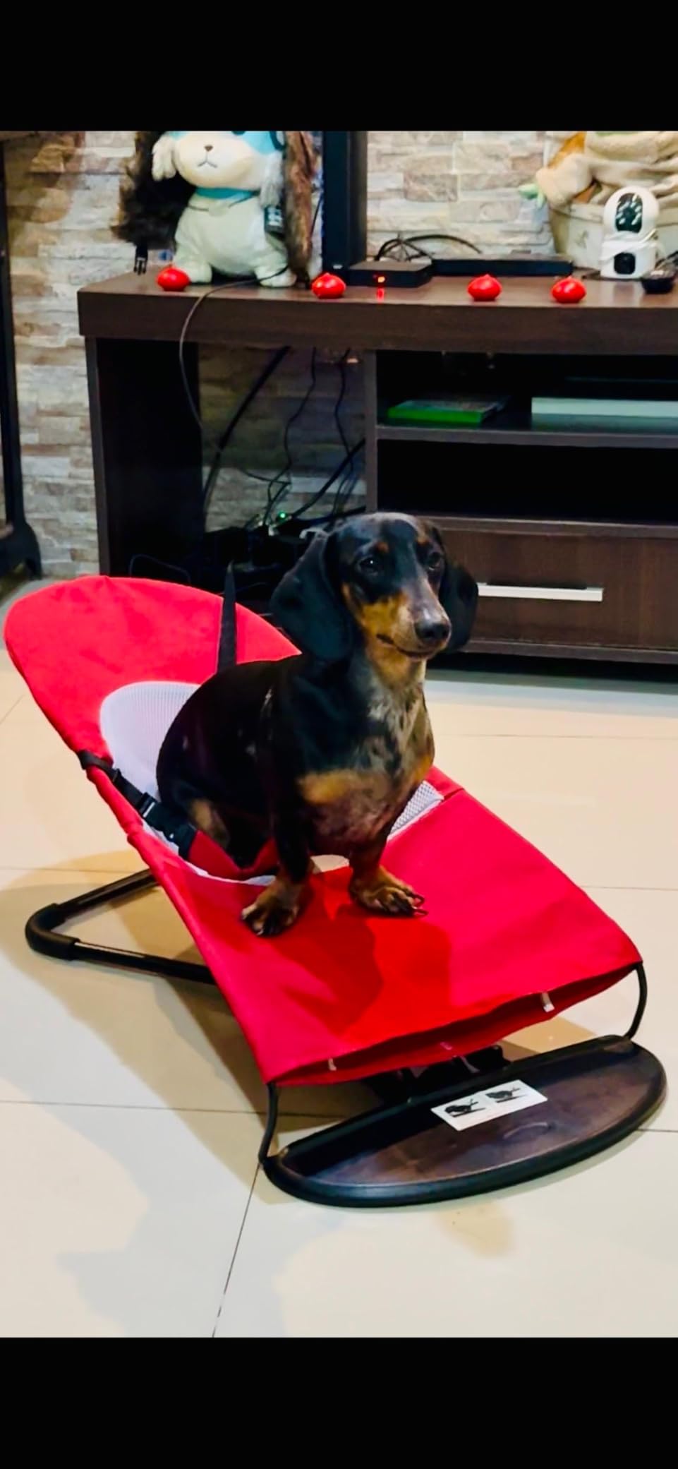 Pet Rocking Chair, Portable Dog Rocker Bed Chair 4 Modes Adjustments Pet Rocker Bed Washable Removable Small Dogs Cots Sofa Beds for Pets Under 33lbs/15Kg (Red) customer photo 1