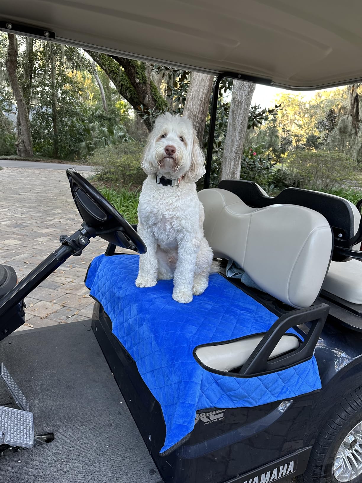 YOKYHOM Golf Cart Seat Covers, Thickened Short Plush Seat Towel Blanket with Non-Slip Backing, Soft & Heavy Duty, Fits Most 2 & 4 Passenger EZGO Yamaha Club Car, 51