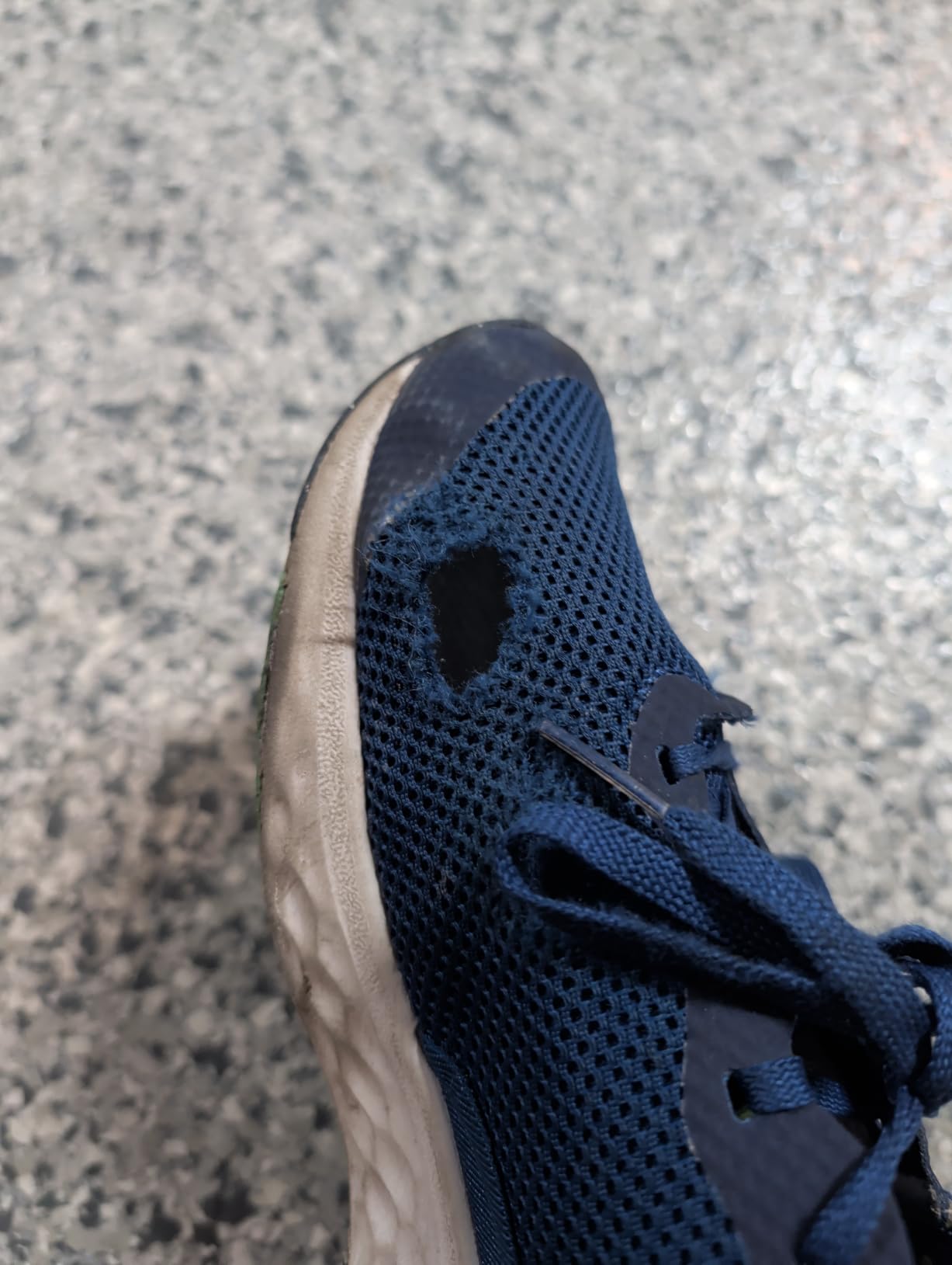 New Balance Kids Fresh Foam Arishi V4 Running Shoe (Little Kid) customer photo 1