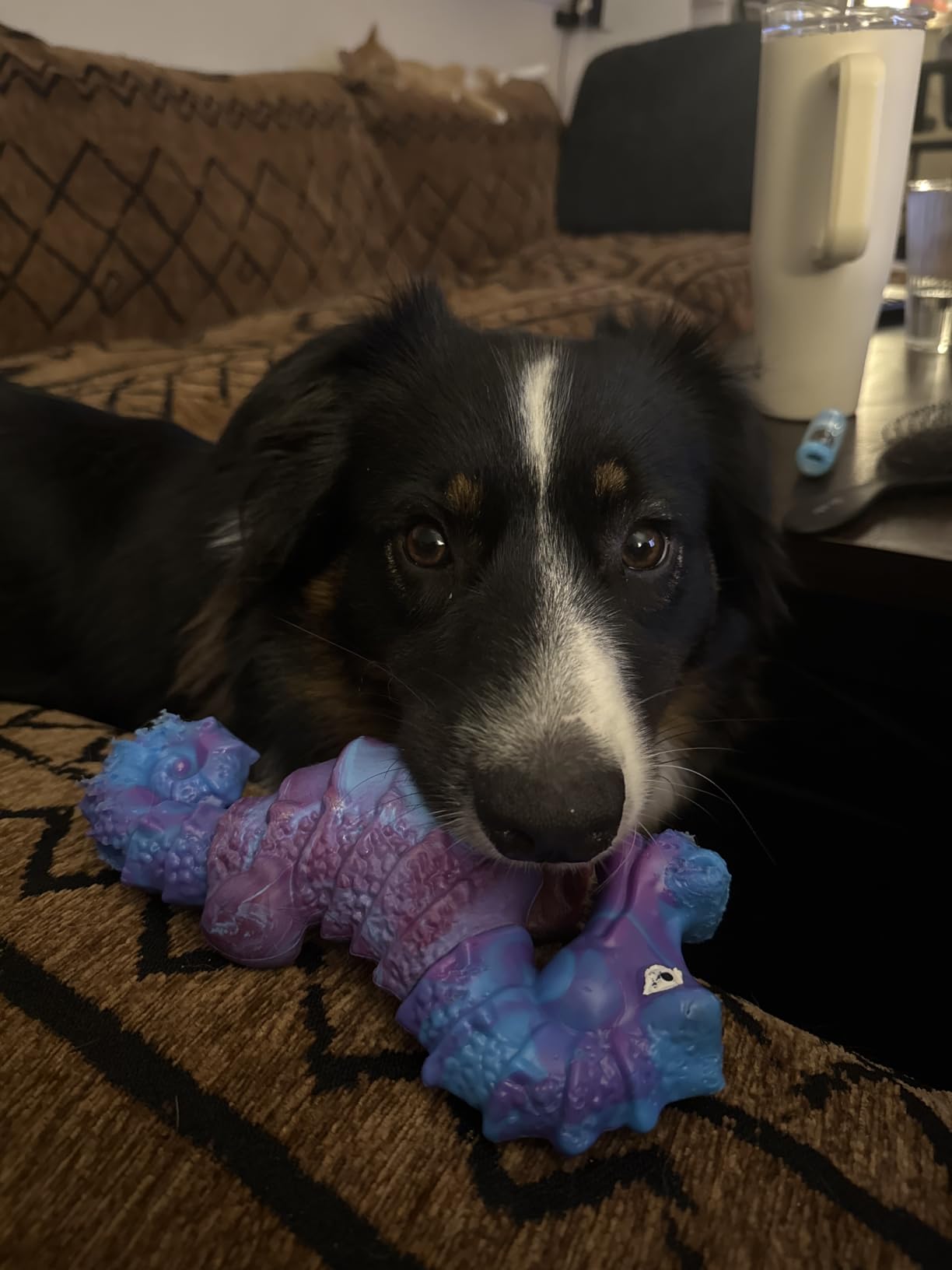 Jeefome Squeaky Dog Chew Toys for Aggressive Chewers customer photo 1