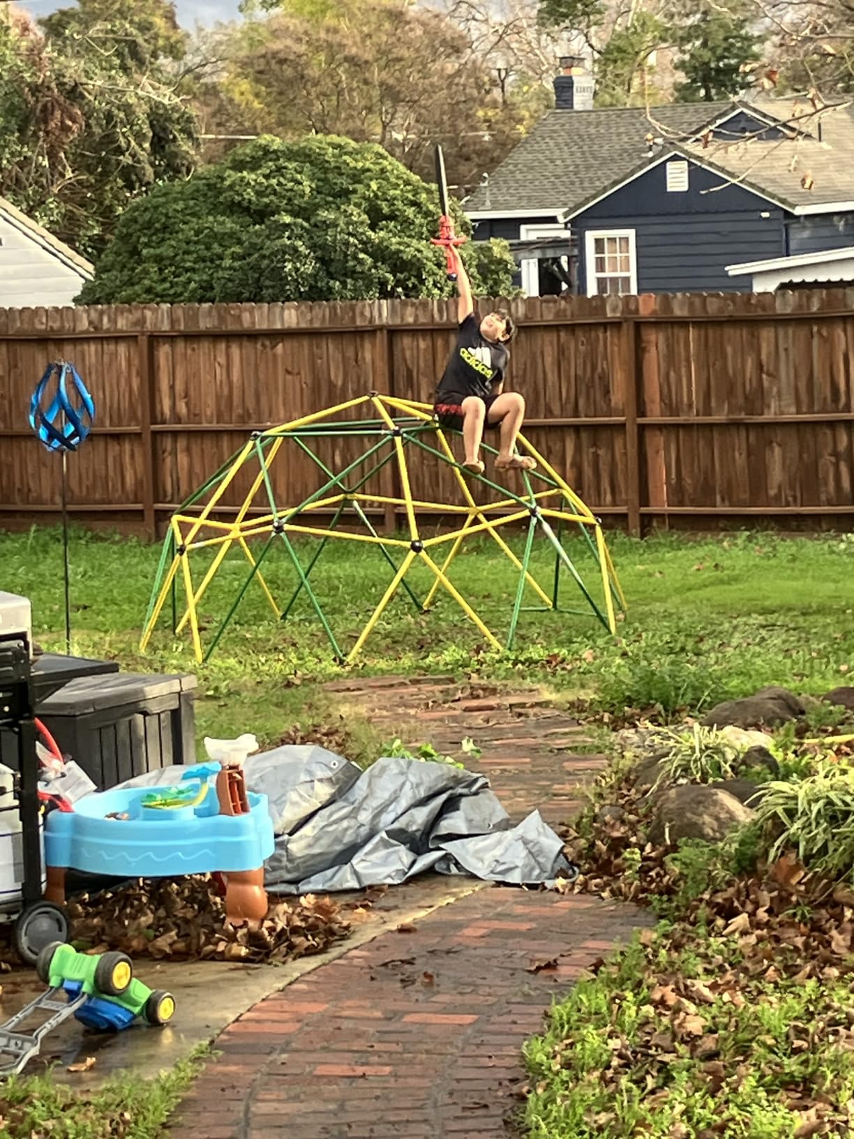Amictoy Climbing Dome with Hammock and Swing, 10FT Backyard Jungle Gym customer photo 1