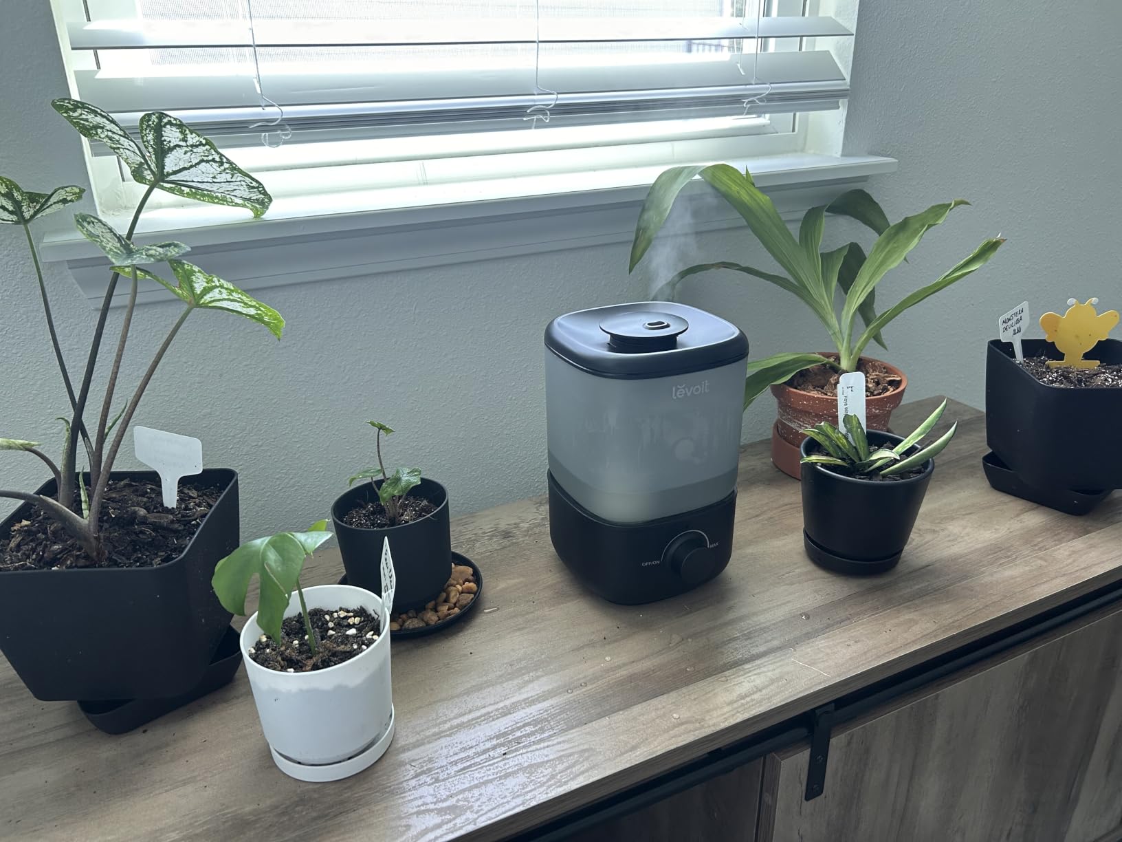 Levoit Evaporative Humidifiers for Bedroom Baby, Dual Air and Water Filters customer photo 2