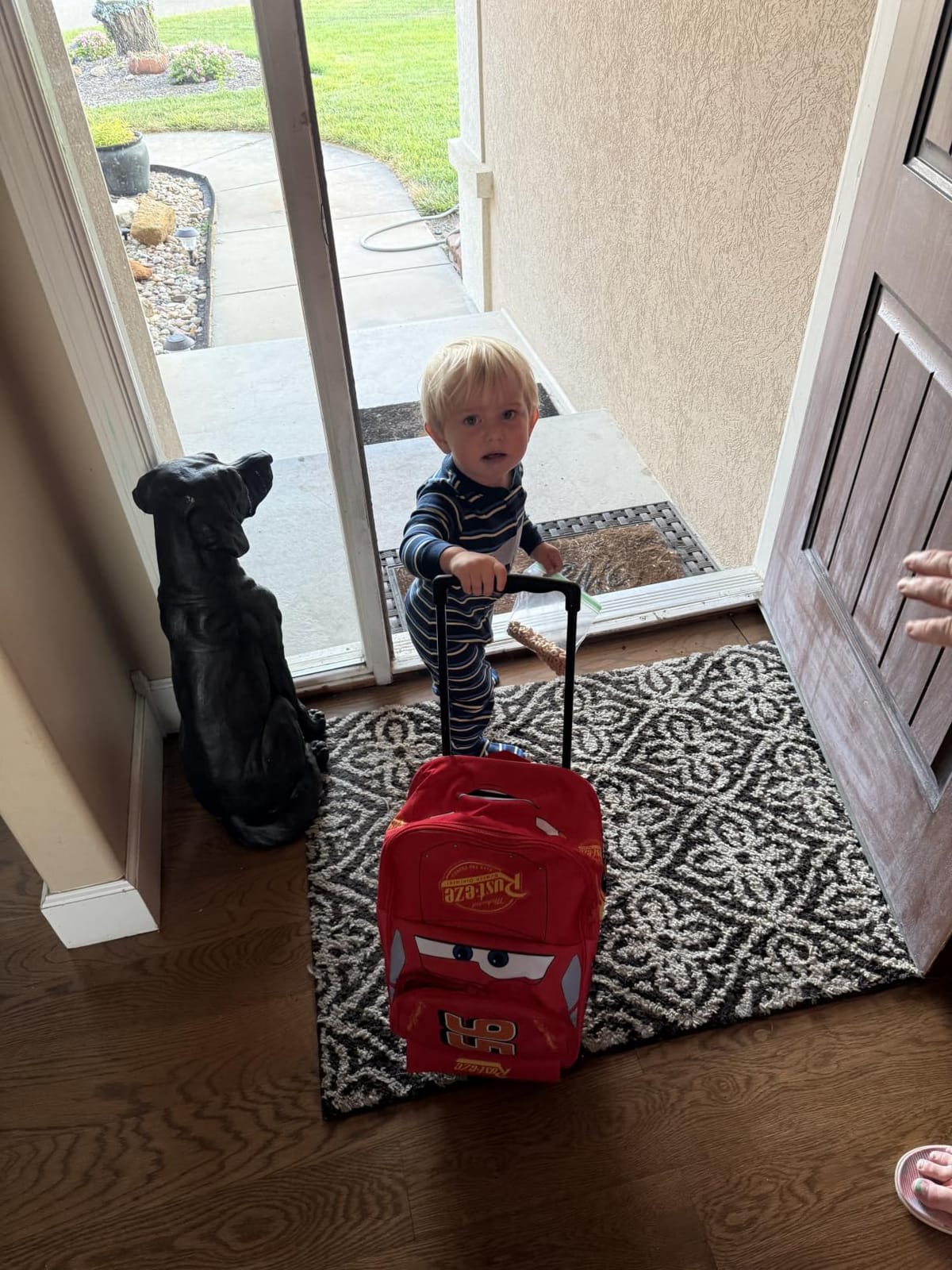 Disney Cars Lightning McQueen Carry-On Luggage with Wheels & Telescopic Handle for Kids 17”– 18.5L, Lightweight Travel Bag for Boys & Girls, Trips & Vacation Gifts customer photo 2