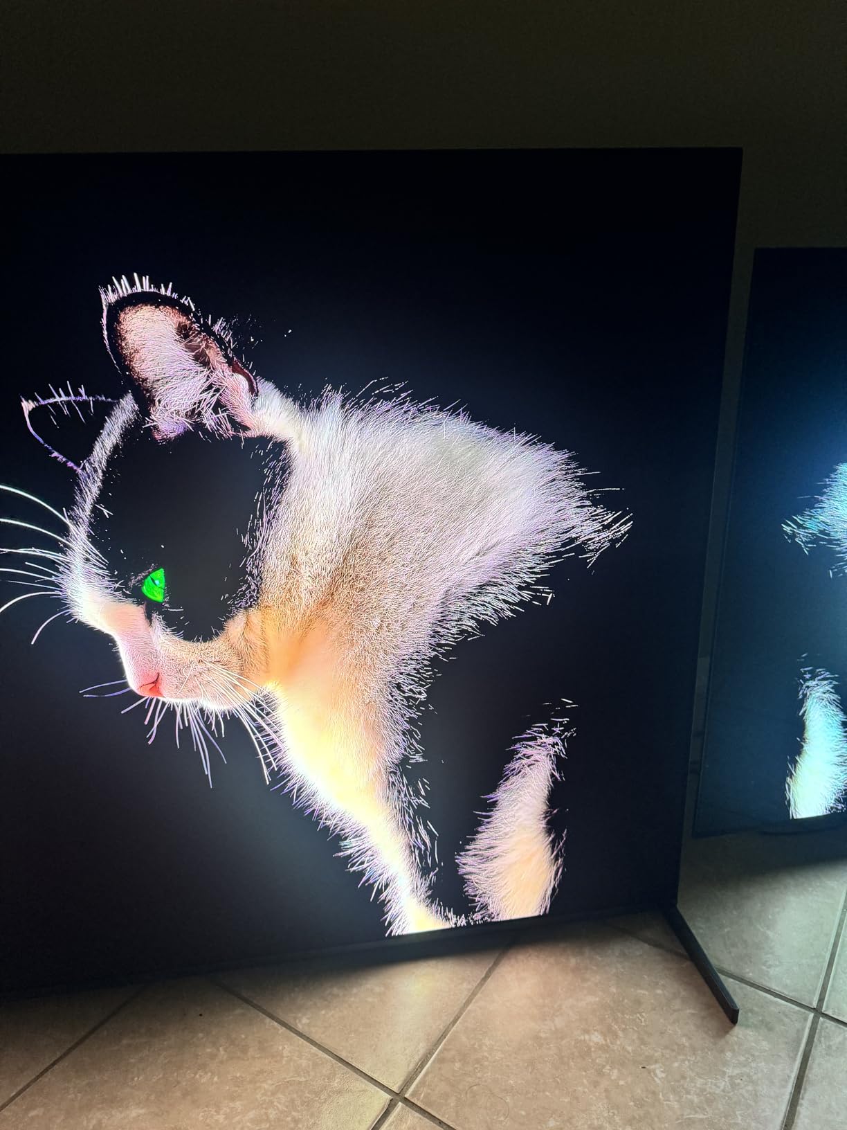 Sony BRAVIA 8 II 65-Inch customer photo 1