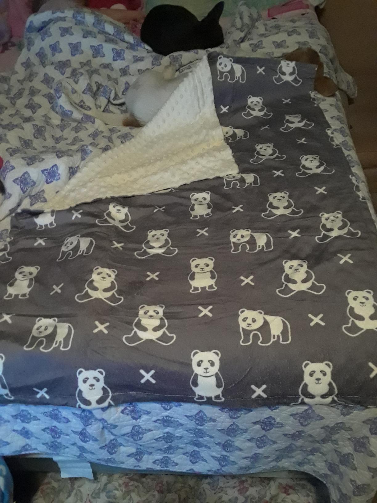 BORITAR Baby Blanket for Boys Girls Soft Plush Minky Fabric with Dotted Backing, Lovely Woodland Design Blanket for Toddler Newborn 30 x 40 Inch(75x100cm) customer photo 1