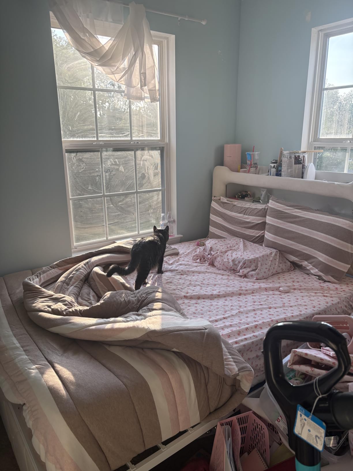 Twin Upholstered LED Bed Frame with 2 Storage Drawers and 2-Tier Storage Bookcase Headboard, Velvet Princess Platform Bed for Kids/Girls/Boys, Heavy Duty Metal Support, No Box Spring Needed, Pink customer photo 1