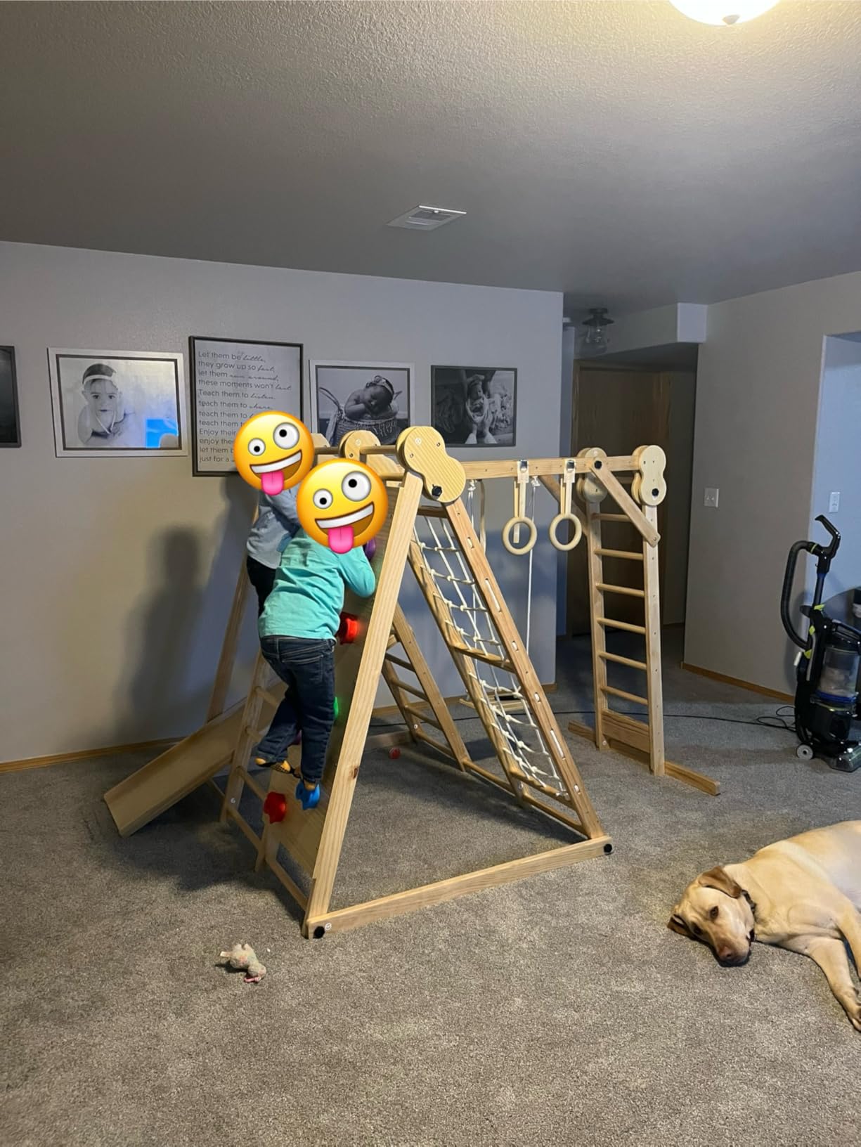 Avenlur 8-in-1 Indoor Play Gym – Toddler Jungle Gym for Kids Ages 2–6 – Indoor Playground Wooden Climbing Playset with Slide, Monkey Bars, Ladder, Rope Ladder, Rock Climbing, Swing, Rings, Disc Swing customer photo 1