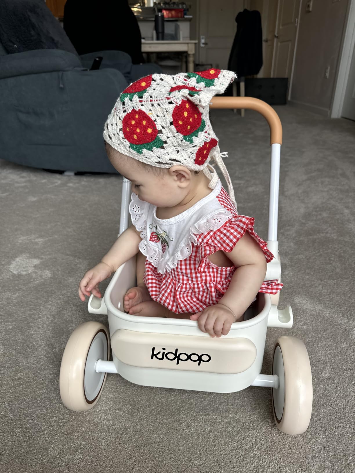 Kidpop PULA 2-in-1 Push and Pull-Along Wagon, Baby Push Walker for First Learner from 7 Month to 4 Year, One Year Birthday Gifts, Sturdy and Safe, Indoors and Outdoors (White) customer photo 2
