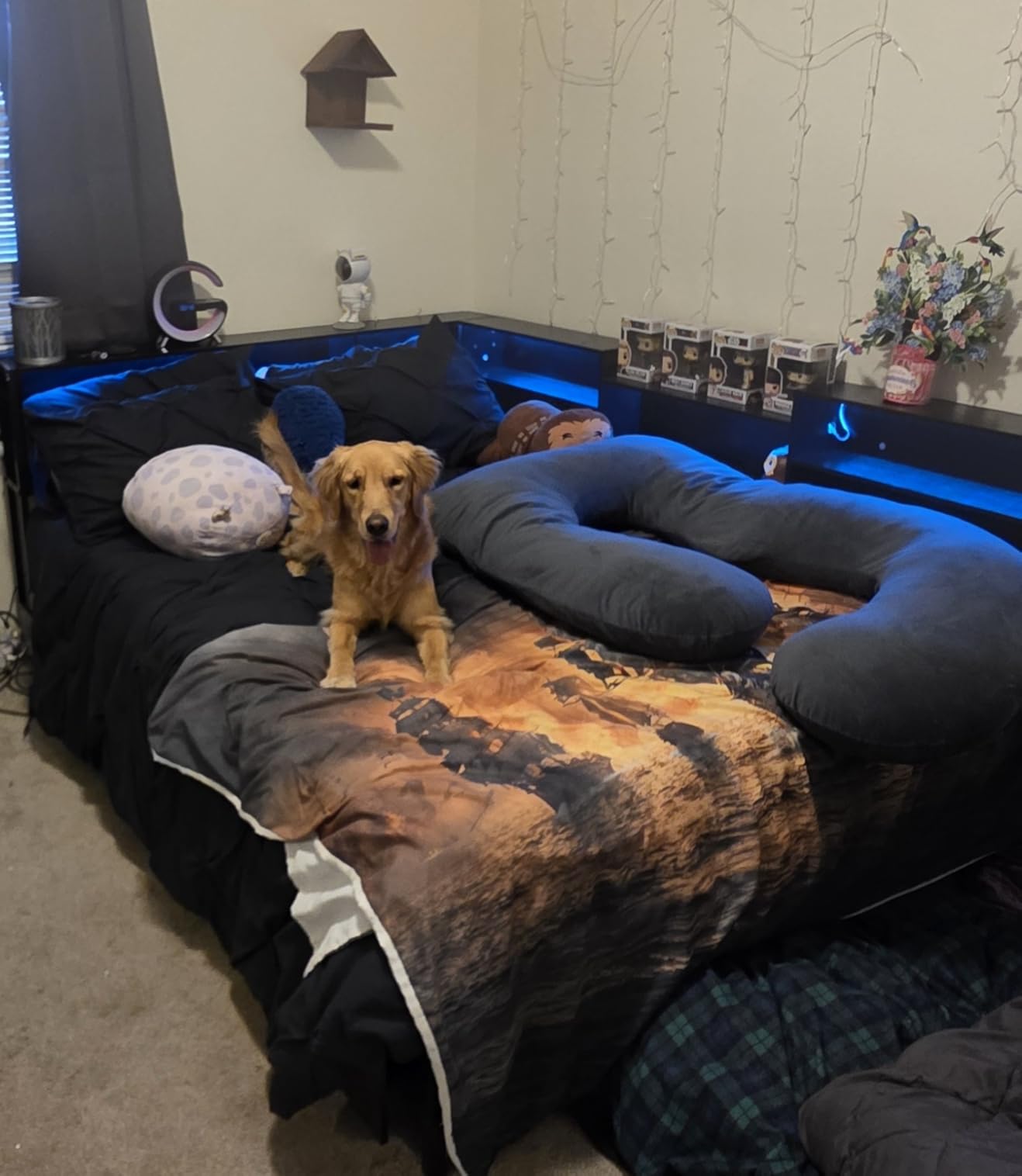 DICTAC Corner Twin Bed Frame with Bookcase Storage and Led Lights Metal Platform Bed Frame with 2 Drawers and Charging Station Twin Size Daybed for Kids/Teen with Storage,Kids Twin Bed,Black customer photo 2