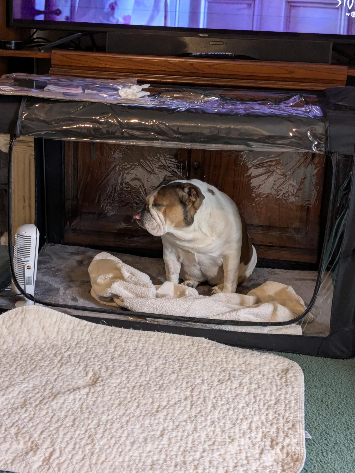 Oxygen Therapy Cage for Pets - Veterinary Oxygen & Nebulizer Chamber for Dogs, Cats, Puppies, Sheep customer photo 1