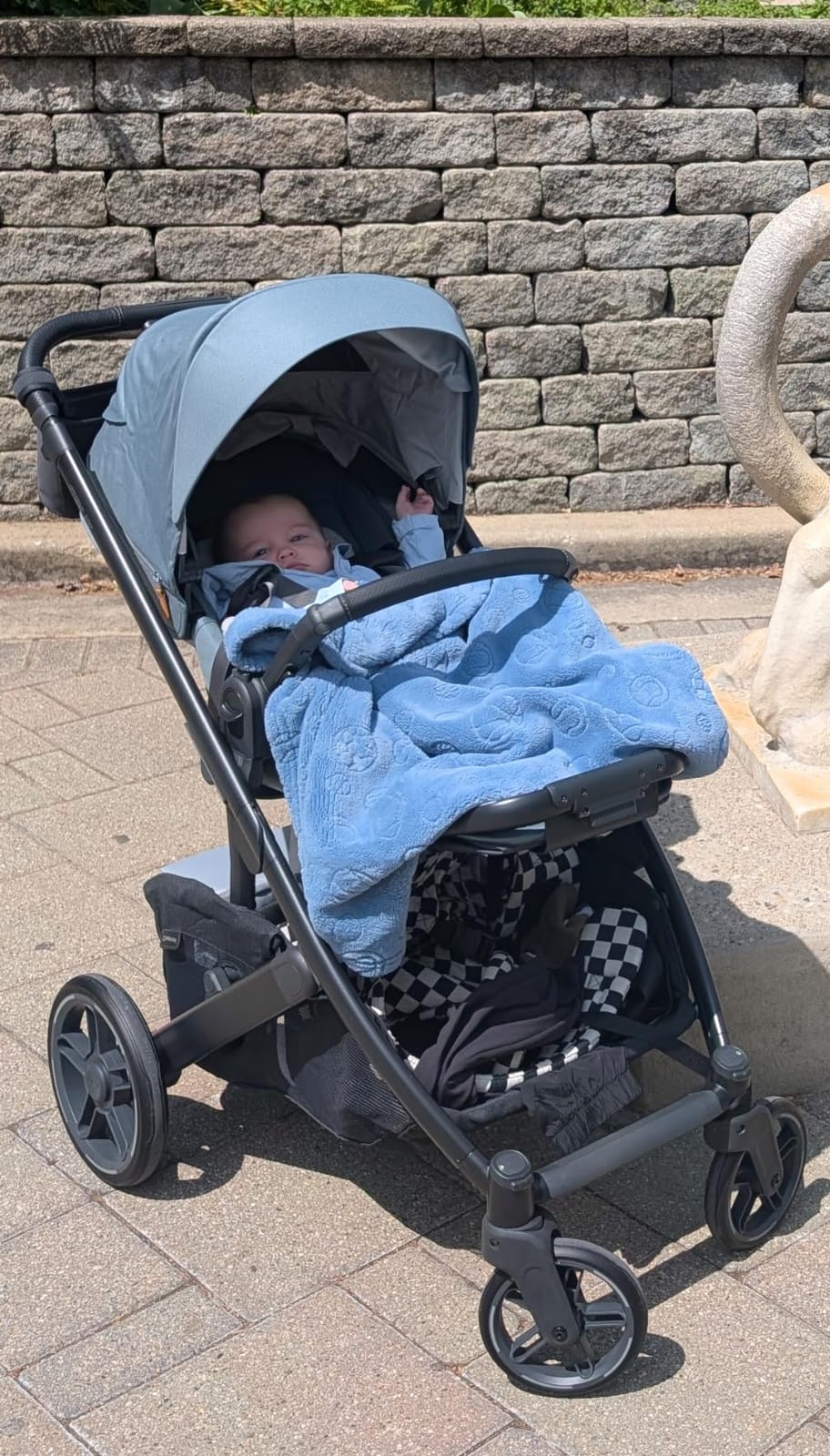 UPPAbaby Cruz V3 Full-Size, from Birth, Car Seat Compatible - Savannah customer photo 2