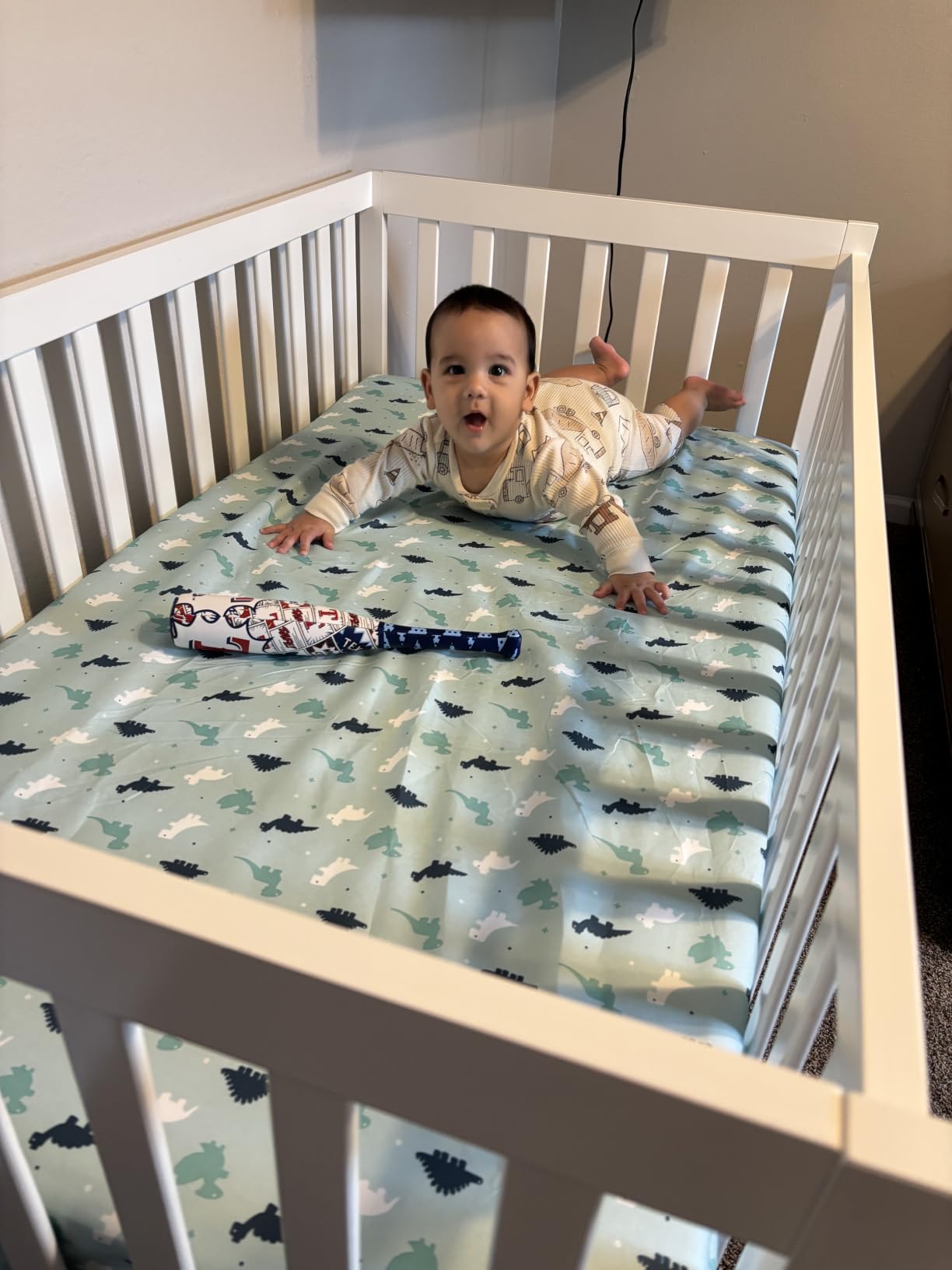 Dream On Me Synergy 5-in-1 Convertible Full Size Baby Crib, Baltic Amber customer photo 1