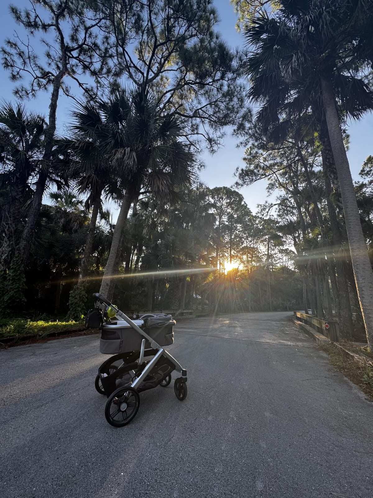 UPPAbaby Bassinet V3 - Fits with Vista, Cruz, Ridge Strollers - Owen customer photo 2
