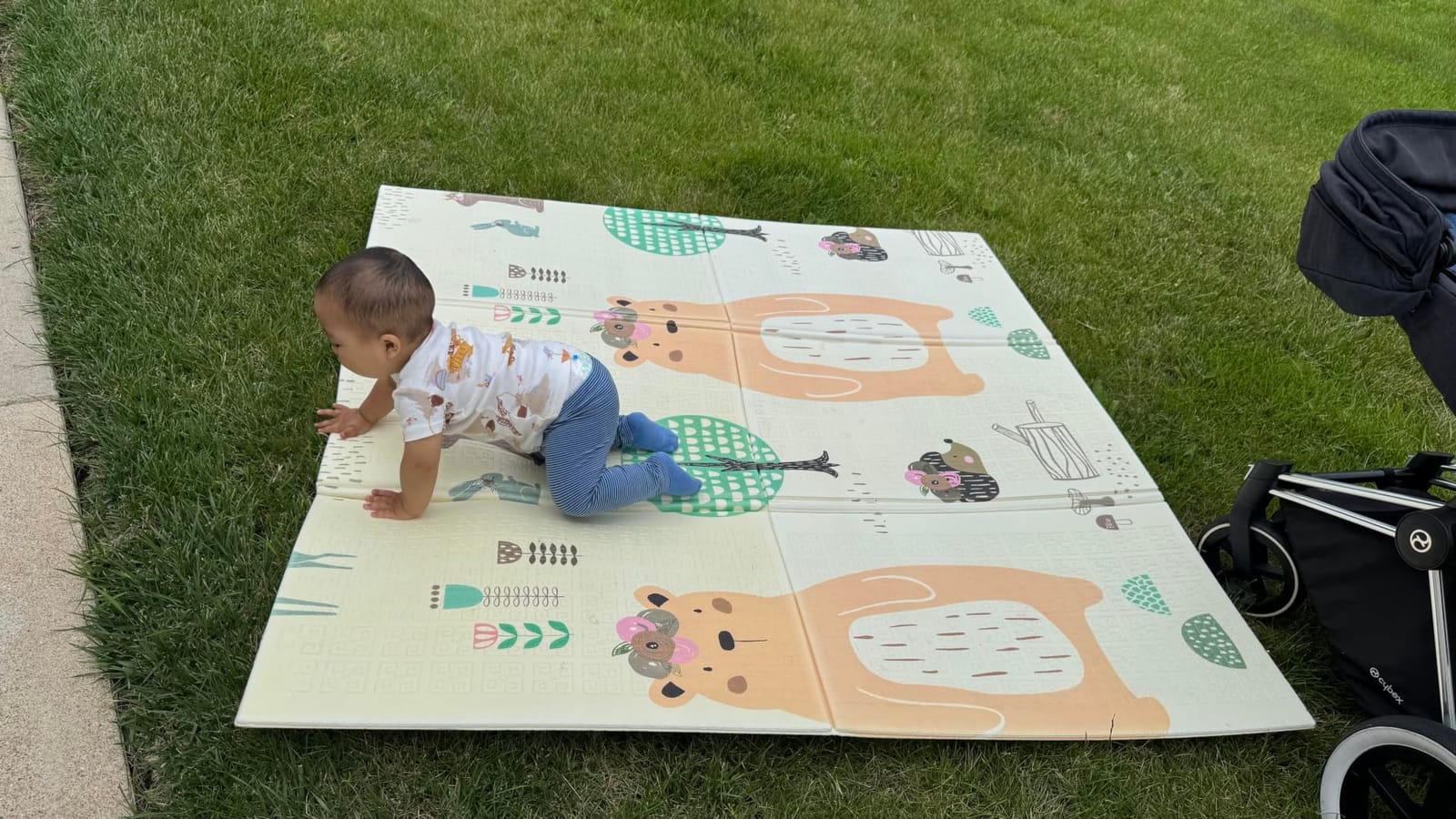 Baby Play Mat, Foldable Waterproof Foam Floor Mat, 79x71, Bear customer photo 1