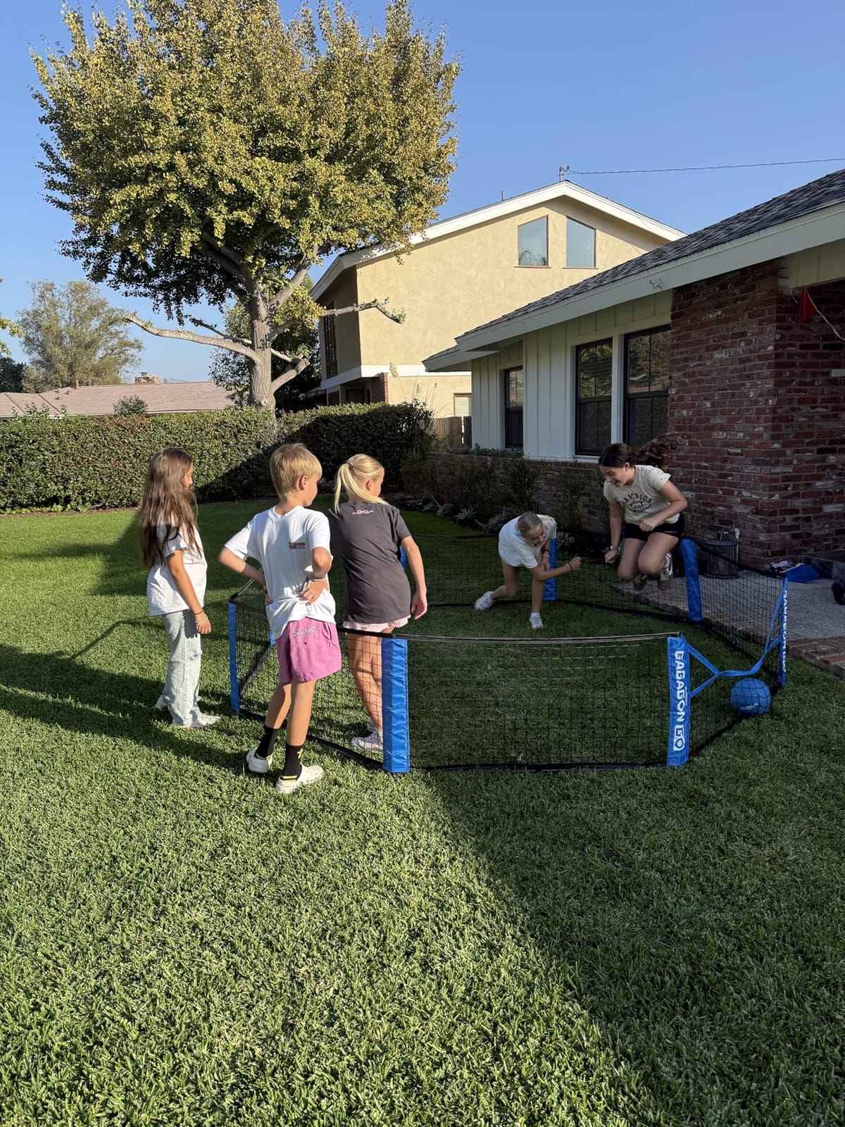 GoSports 10 ft Gagagon Go Portable Gaga Ball Pit customer photo 2