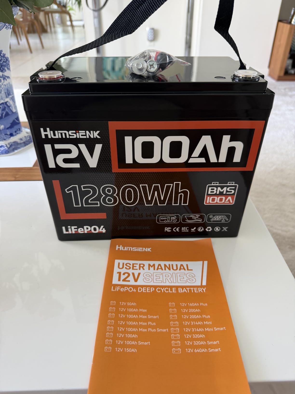 HumsiENK 12V 100Ah LiFePO4 Lithium Battery with Bluetooth (Group 24) 1280Wh customer photo 1